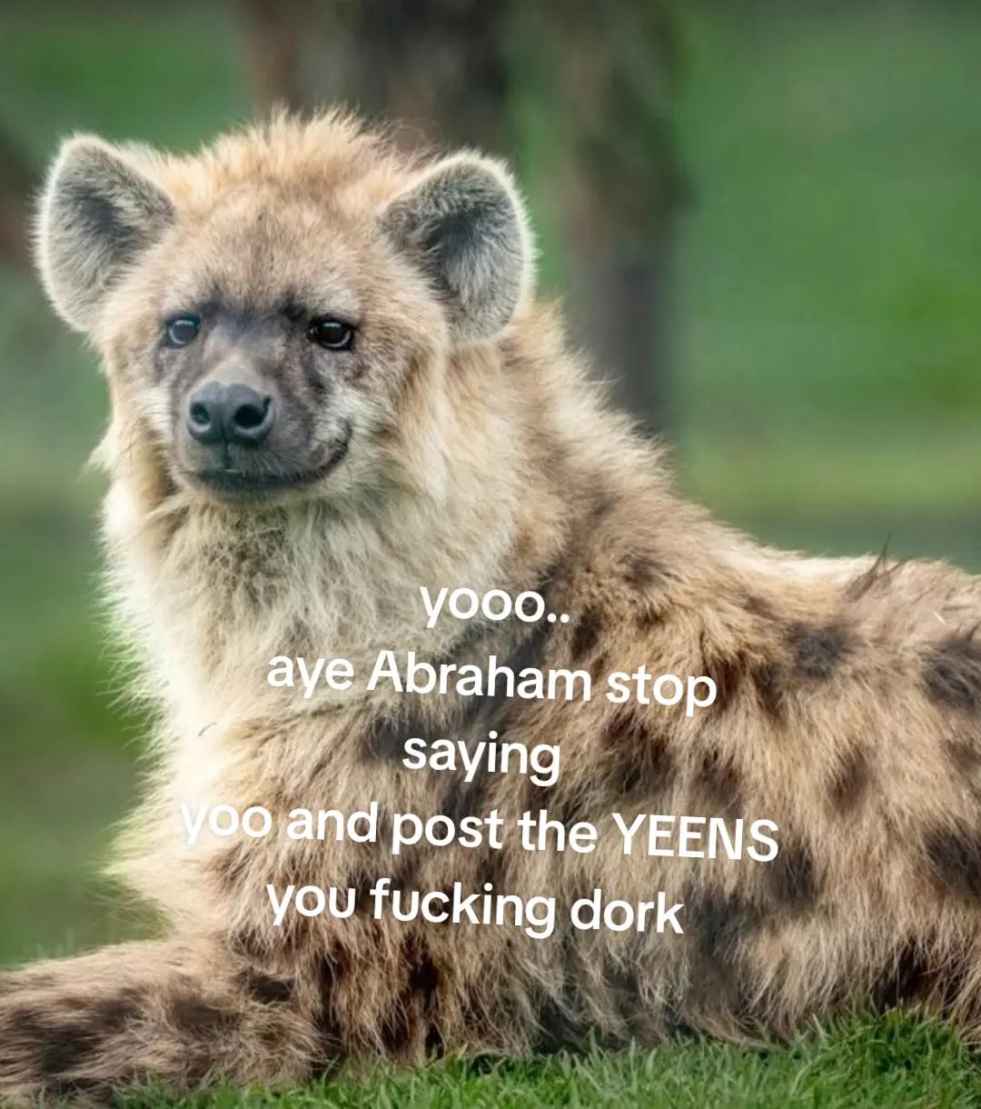 @AbrahamTheHyena🆒6️⃣9️⃣