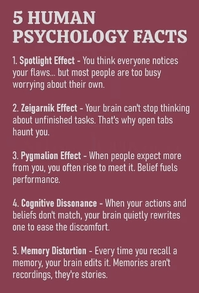 @Lisa@elevateyourlife
