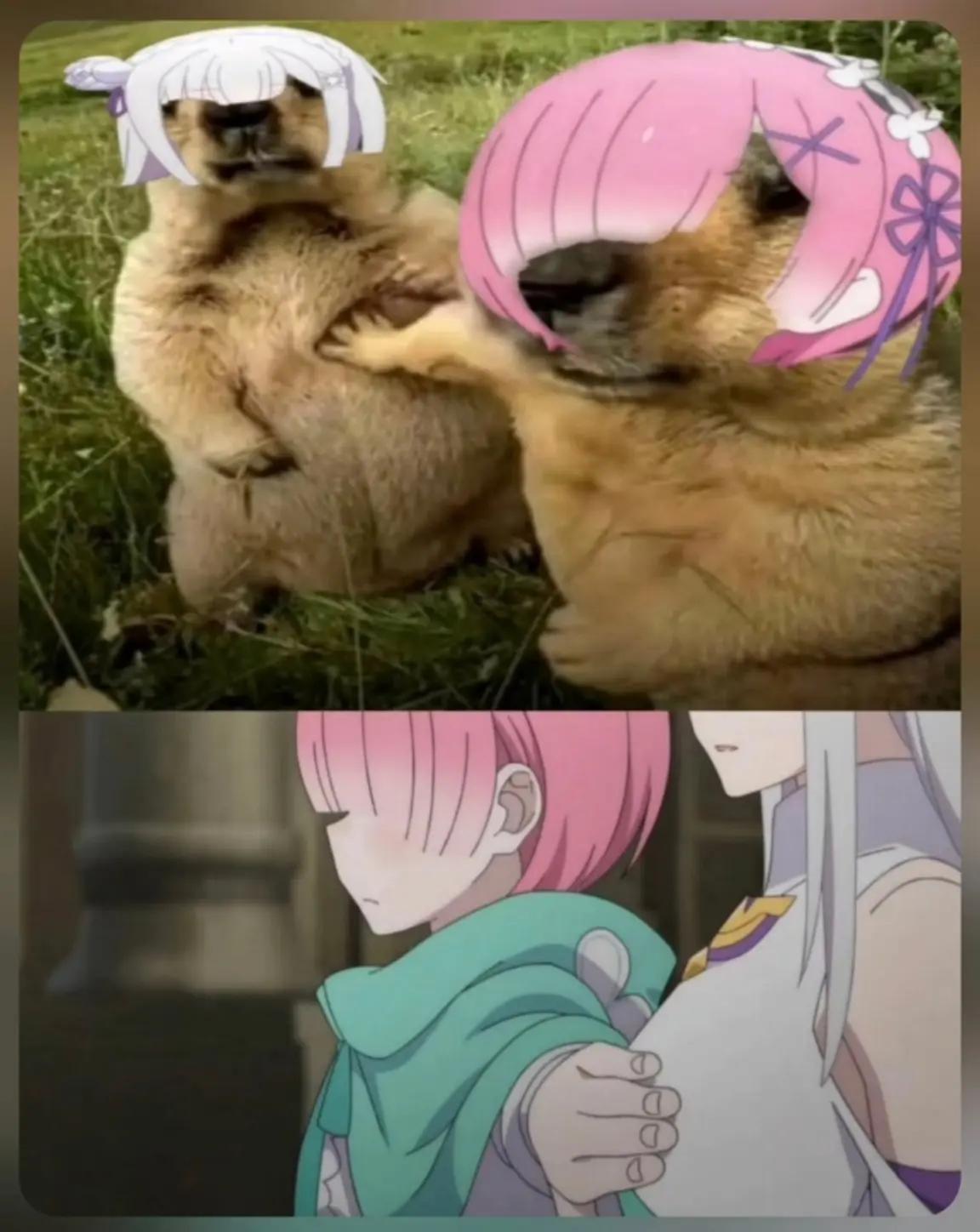 @talentless anime
