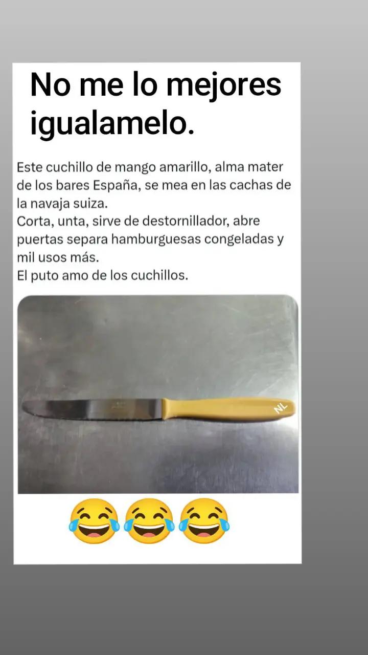 @nieveslarubiagallega