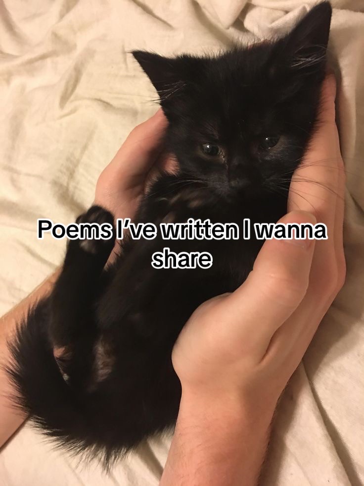 @Tooru (🏳️&zwj;⚧️)