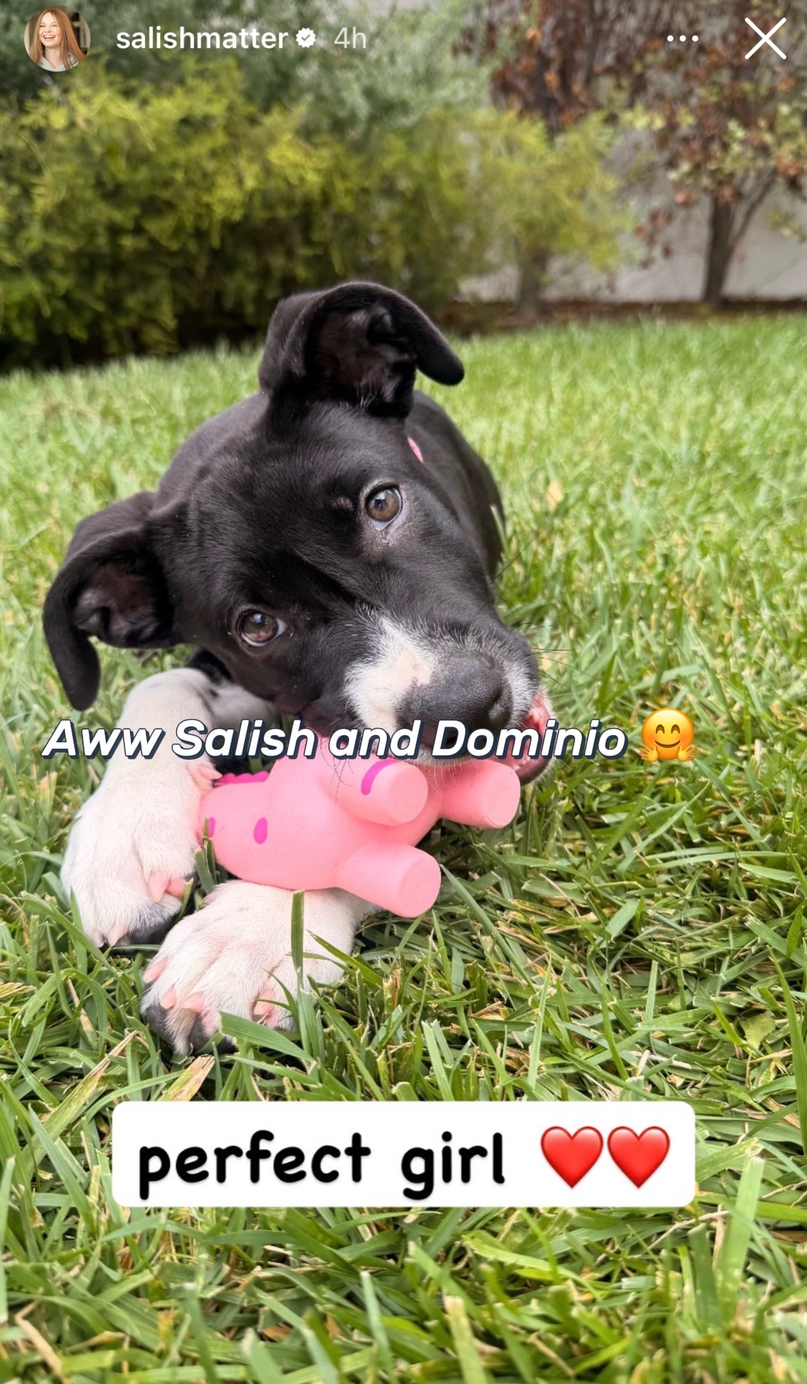 @Daisy 💛:D