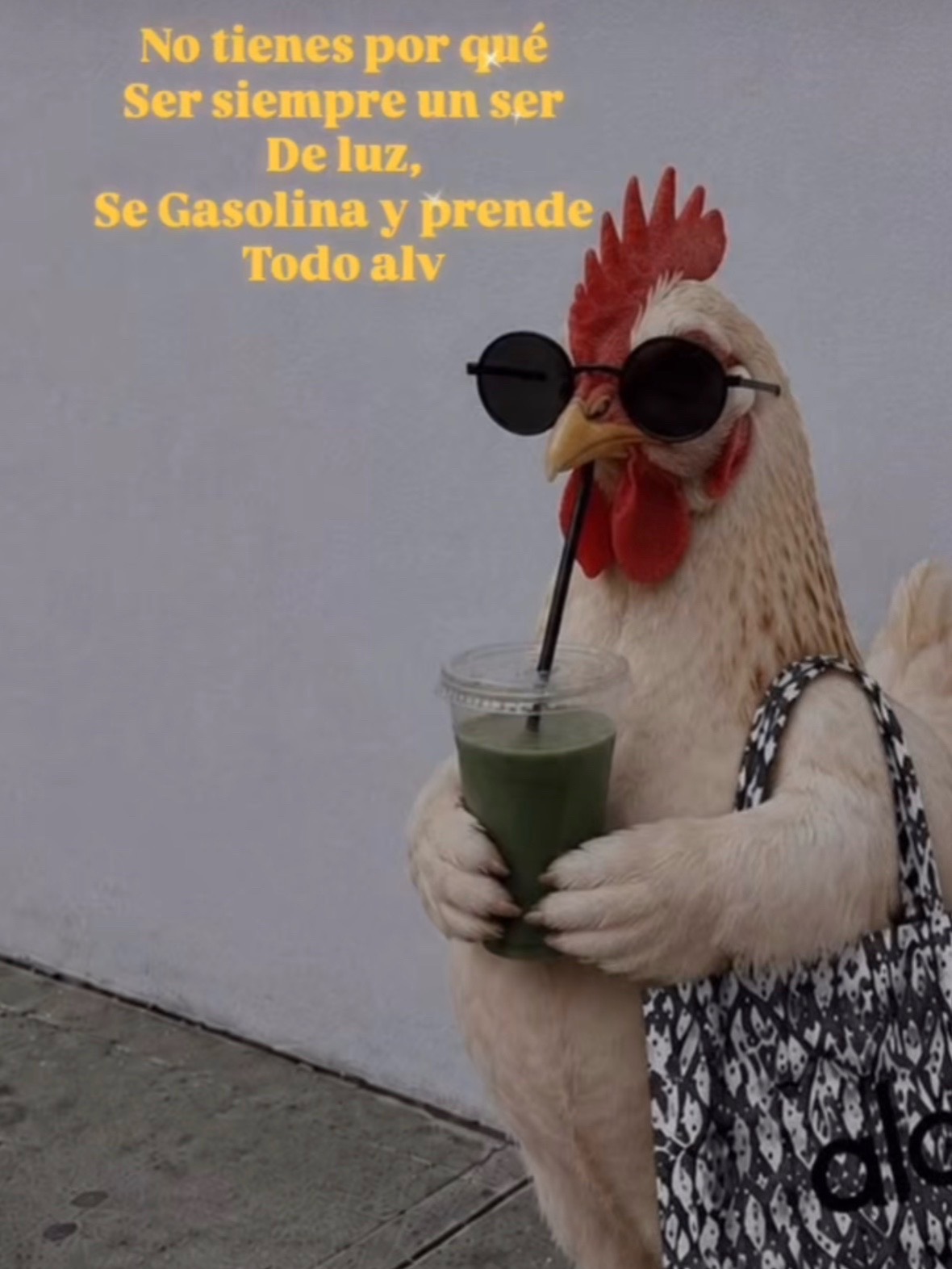 @Esmeralda Ch&aacute;vez