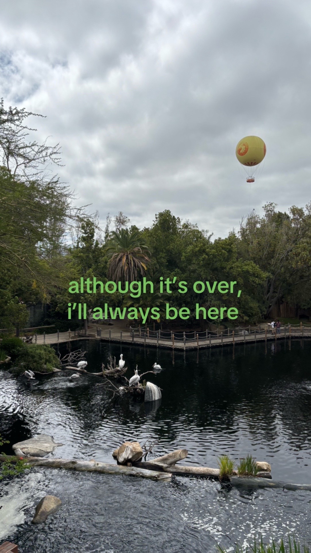 @11:11