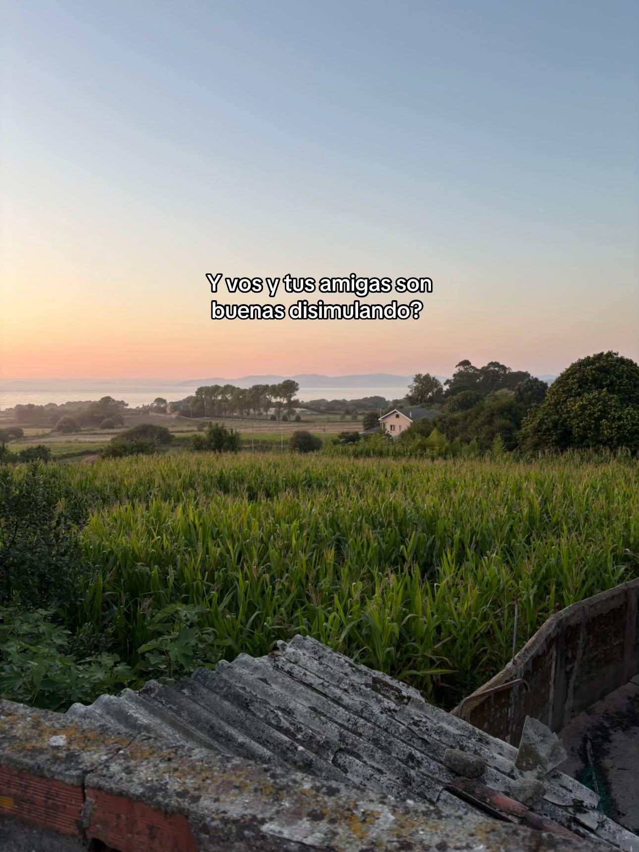 @compartidos2586