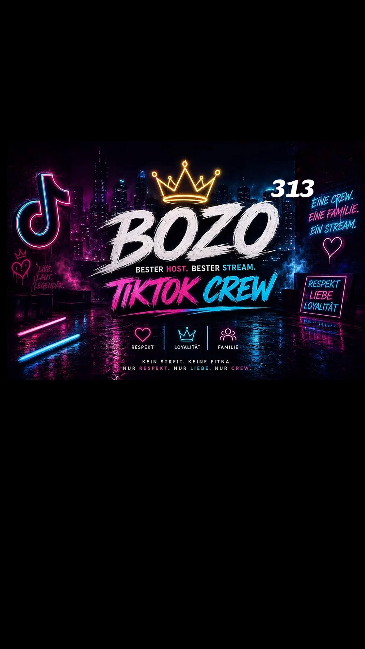 @BOZO 313