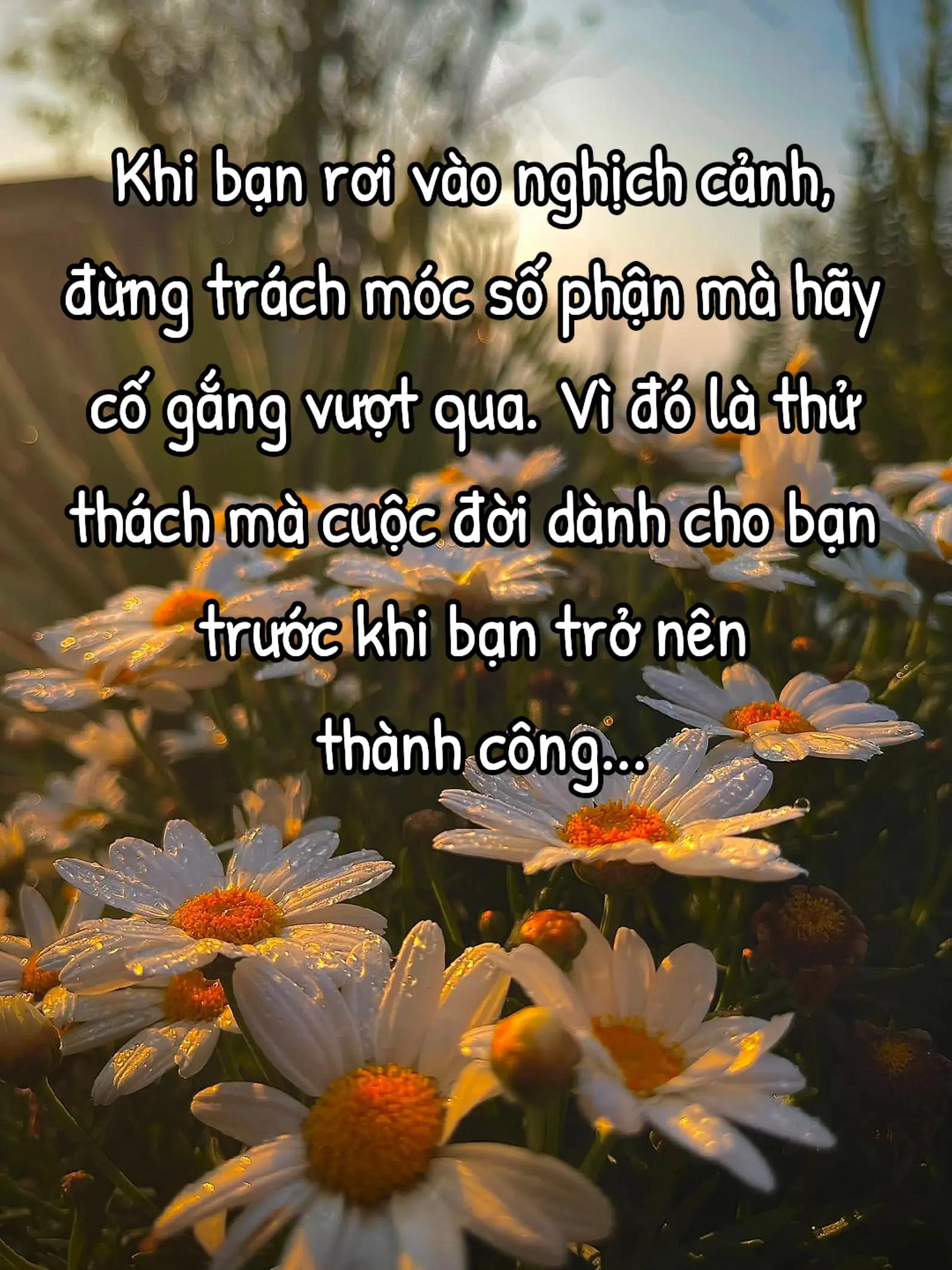 @HẢI TRUNG KIM.