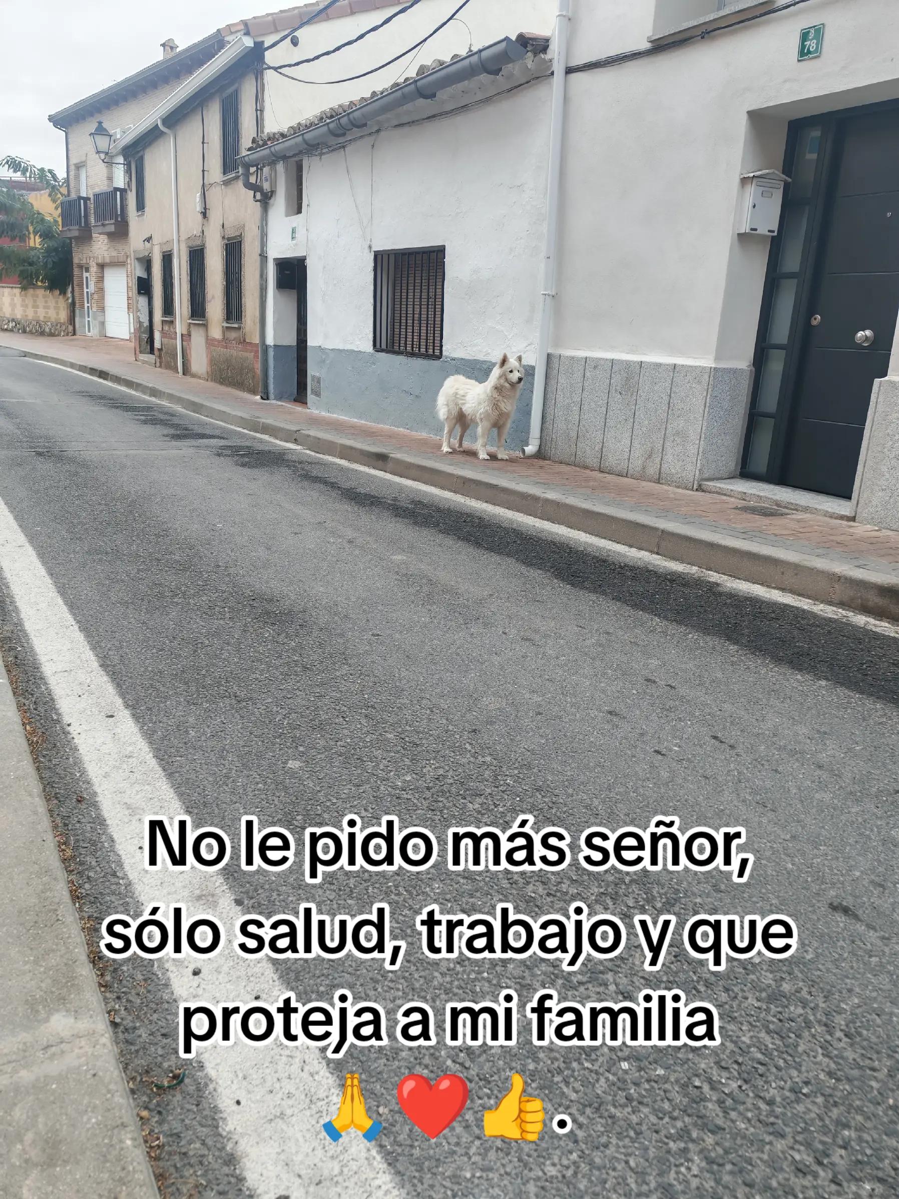 @Fernando