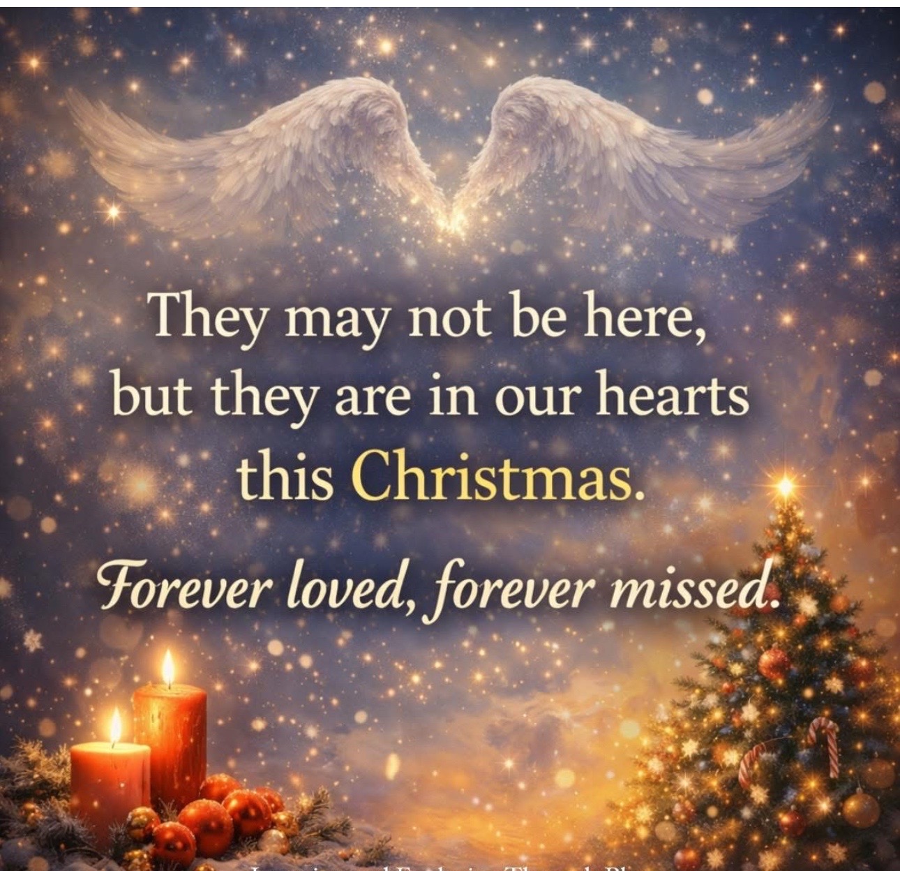 @Lovenotabuse❌