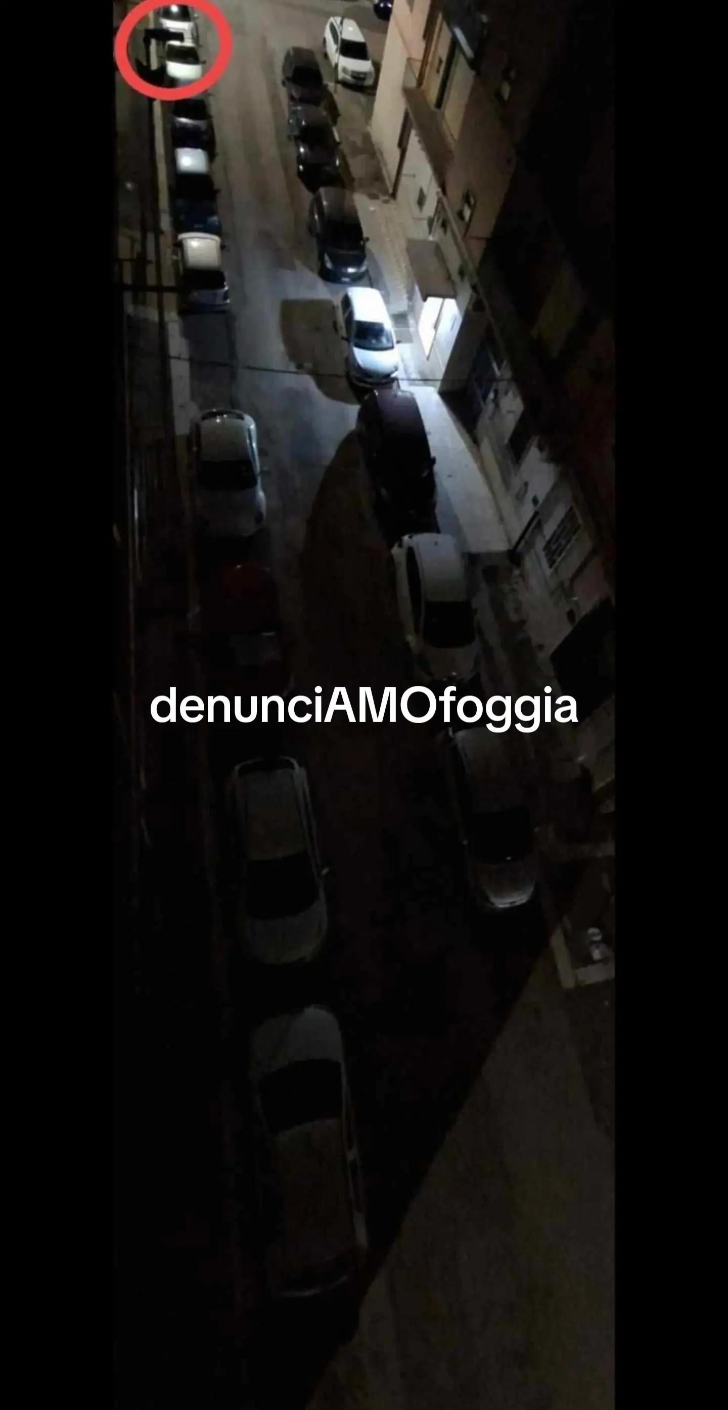 @denunciAMOfoggia