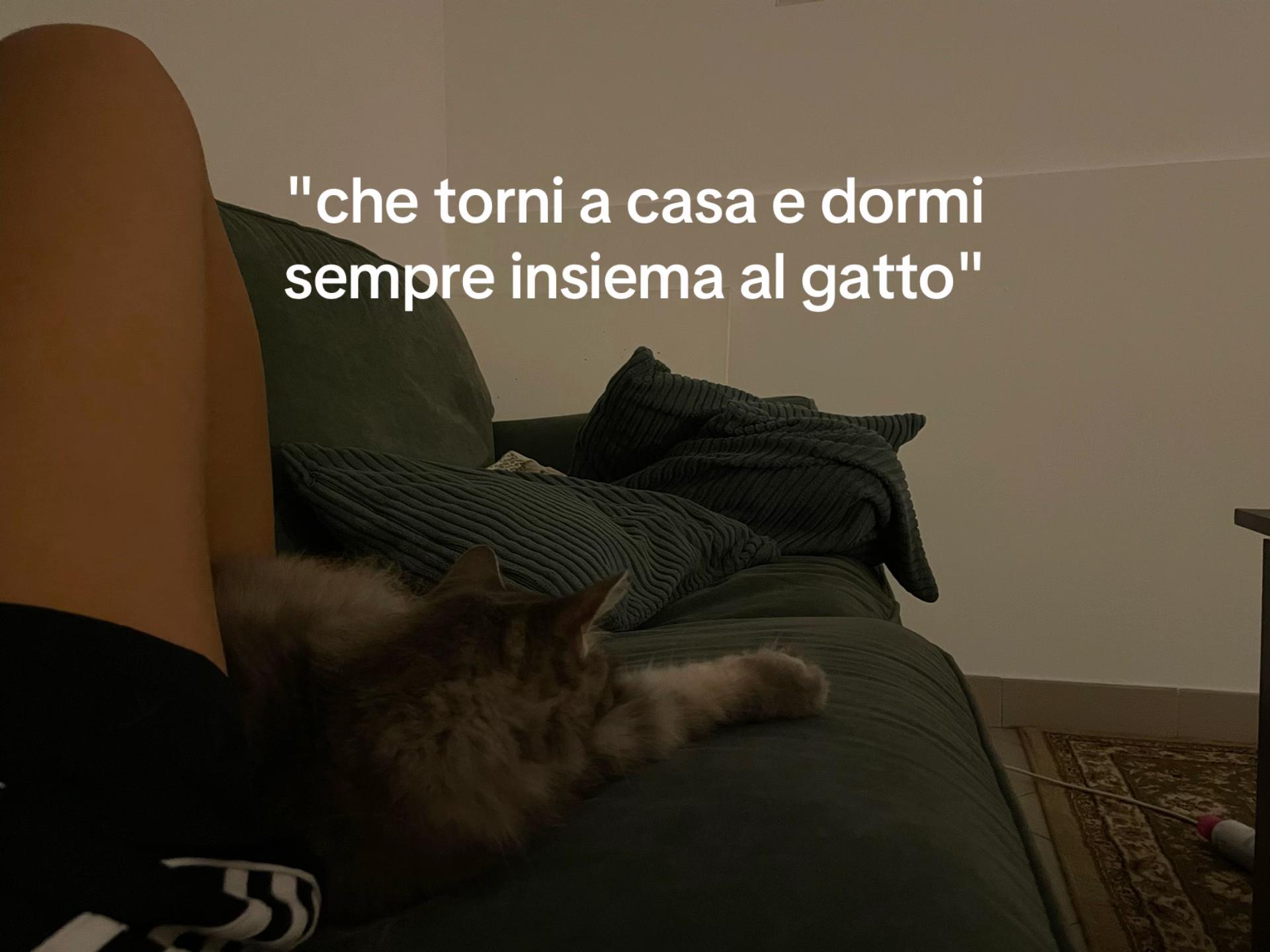@eleonora damian
