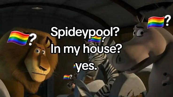 @FΣLIX