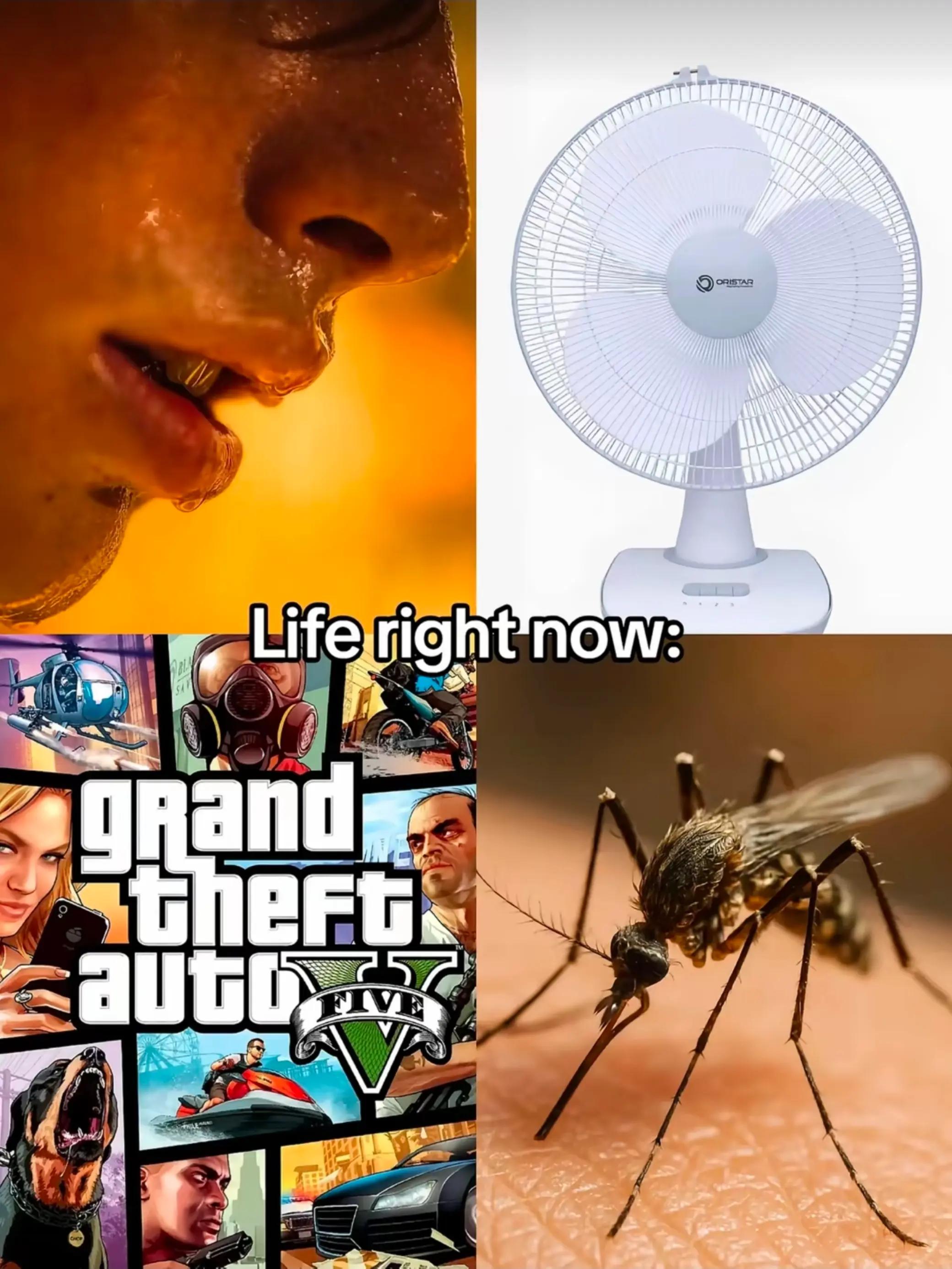 @𖤍 𝑇𝑦𝑙𝑒𝑟 𖤍