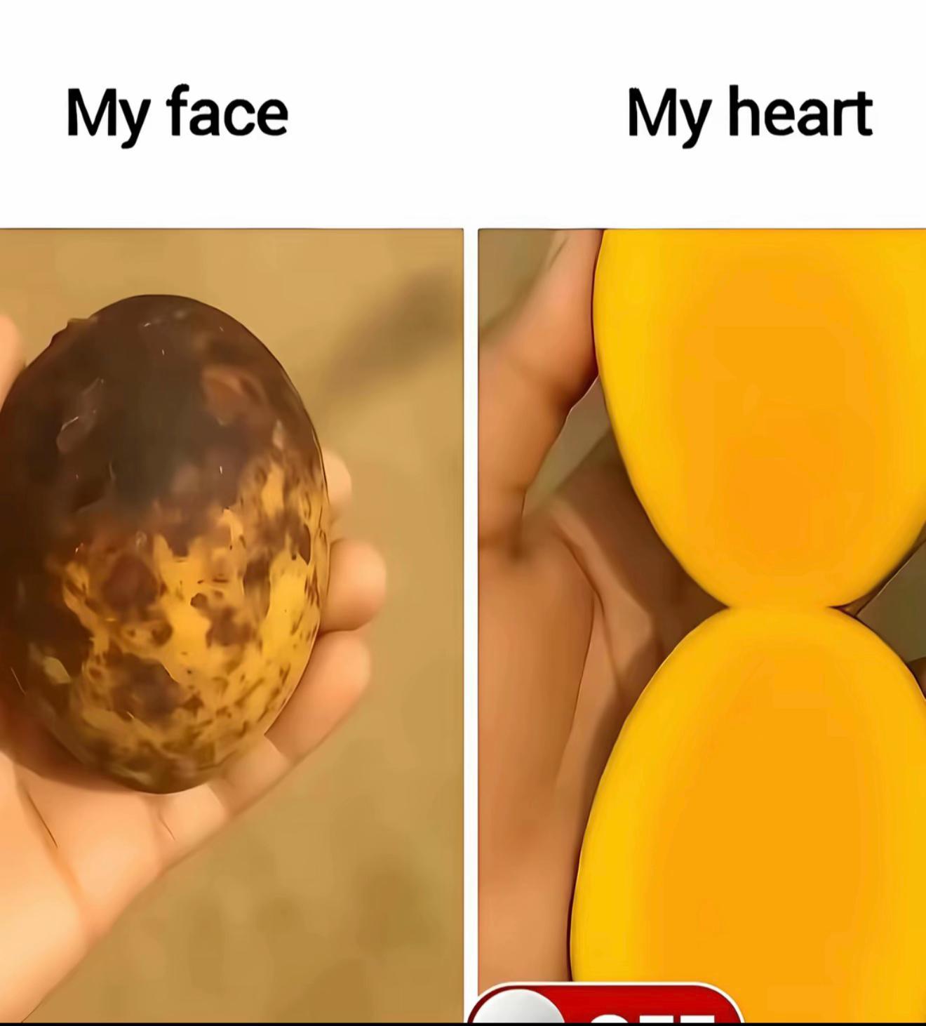 @🌸