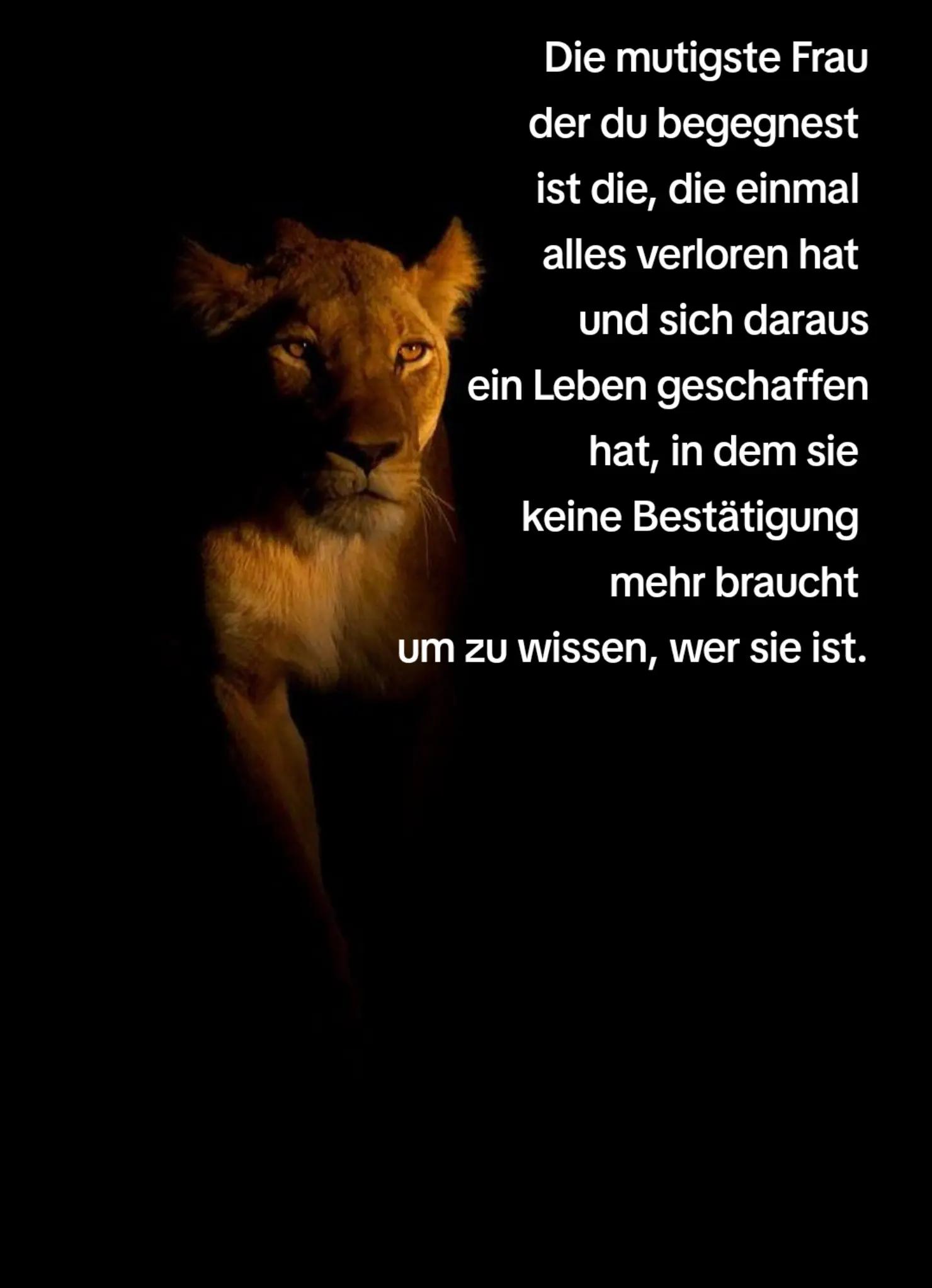 @𝕷𝖎𝖔𝖓-𝖌𝖎𝖗𝖑 🦁