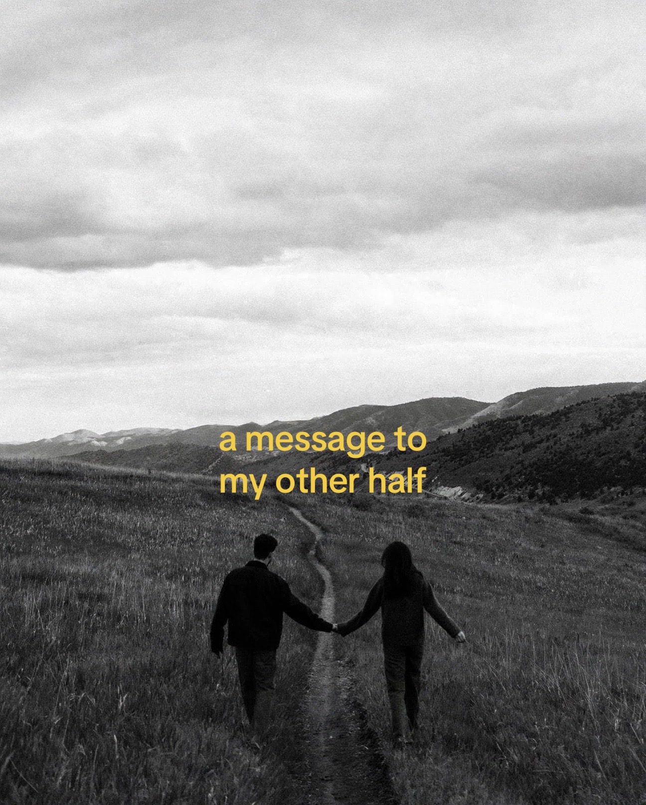 @Rayaan