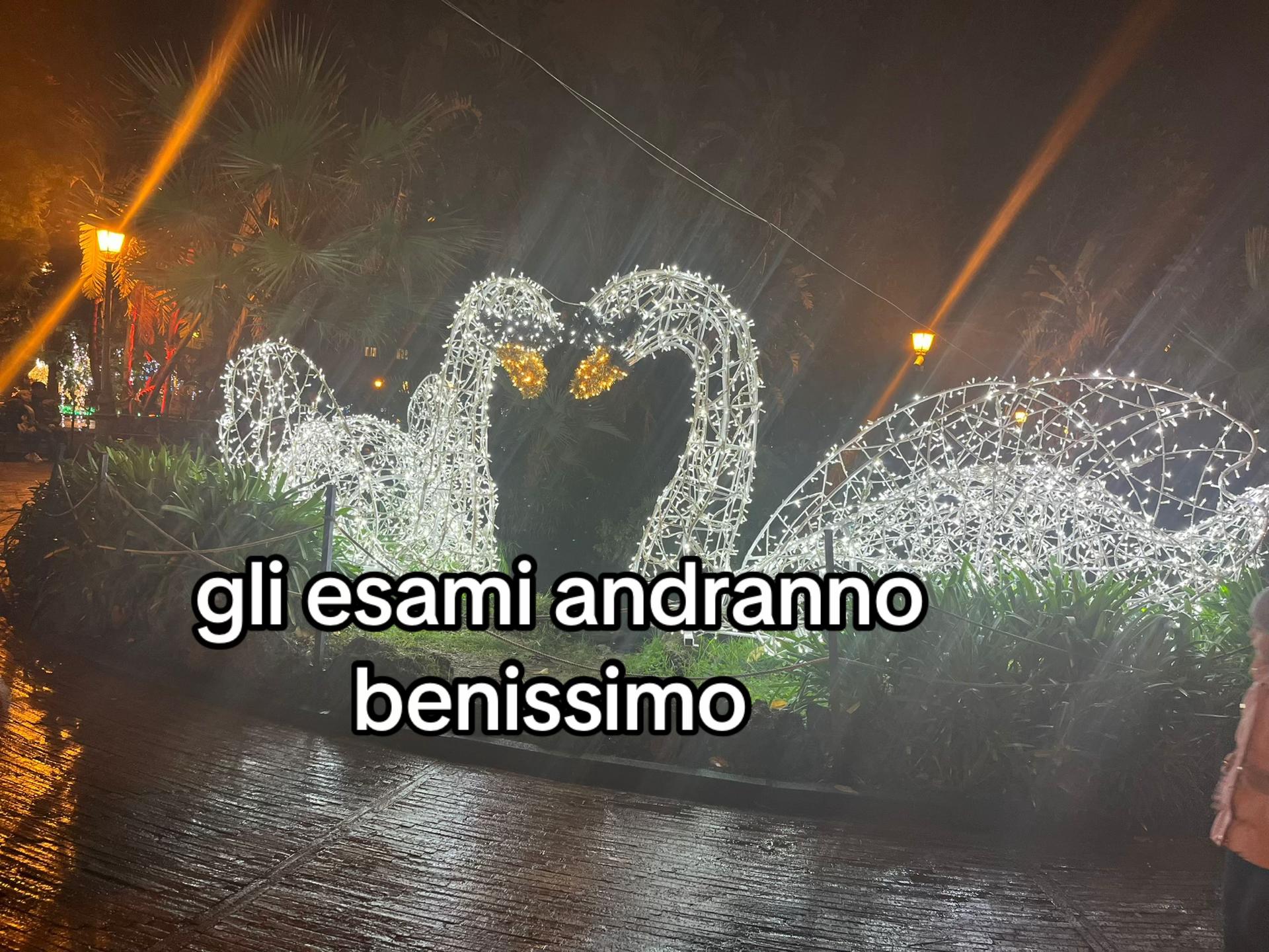@•Giovy •🌻