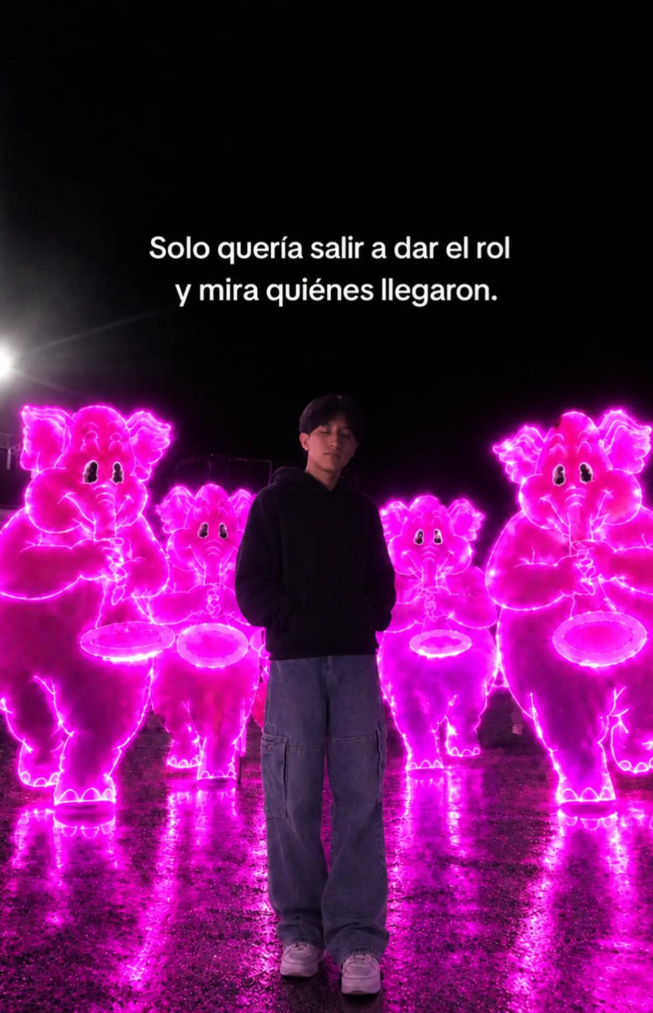 @vvlx.carl