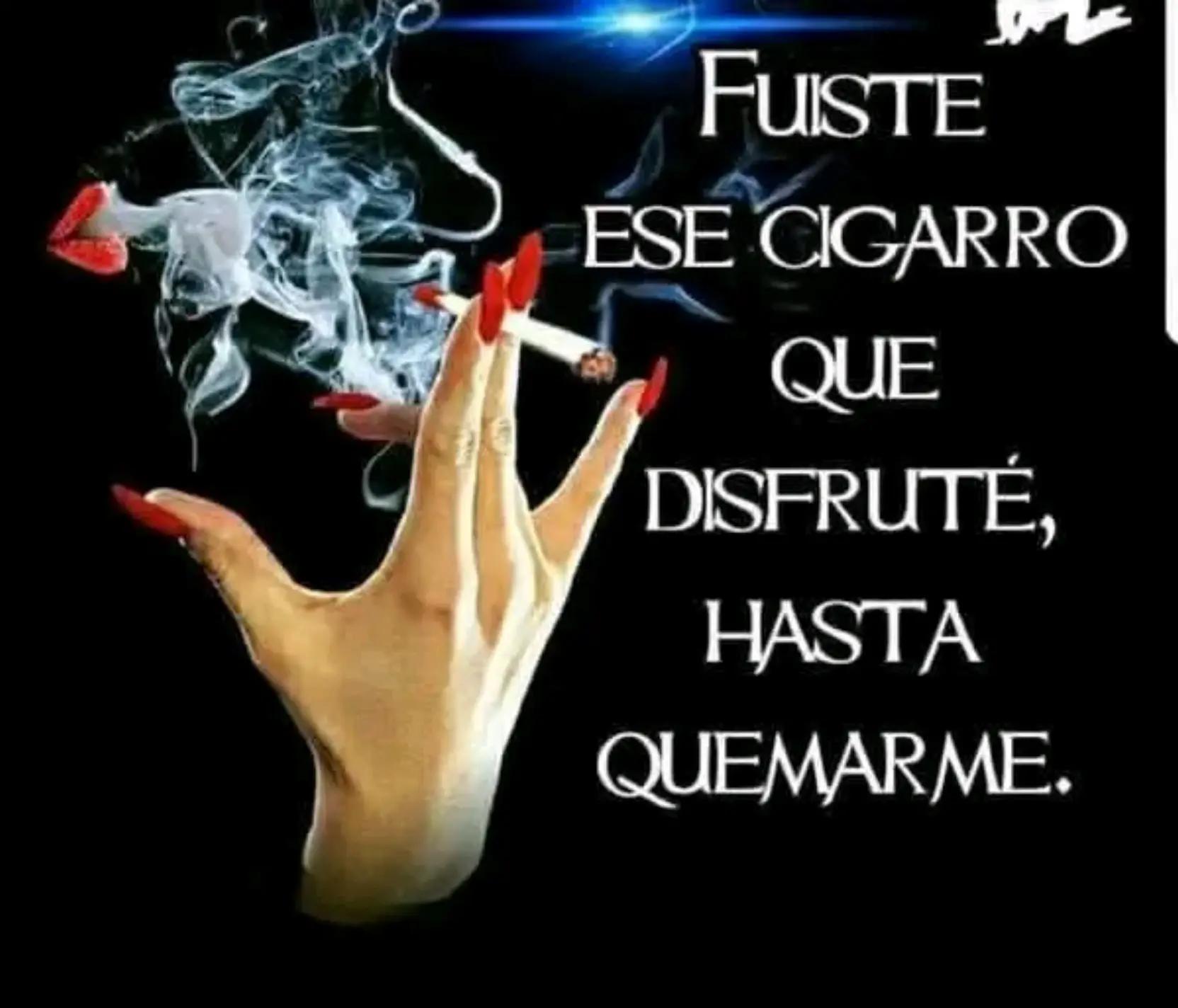 @Lm.karlos_eldiablito.com😈