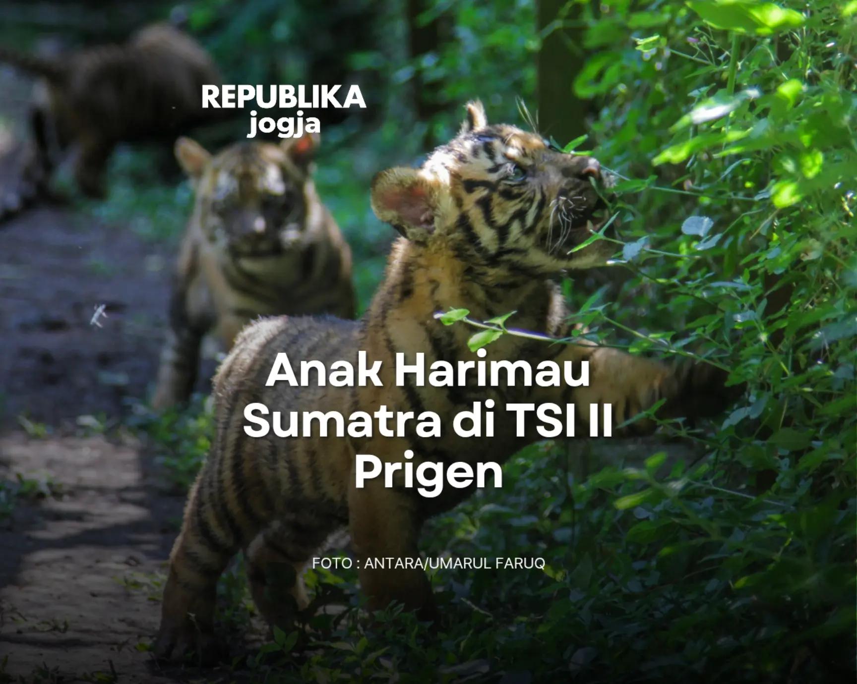 @Republika Jogja