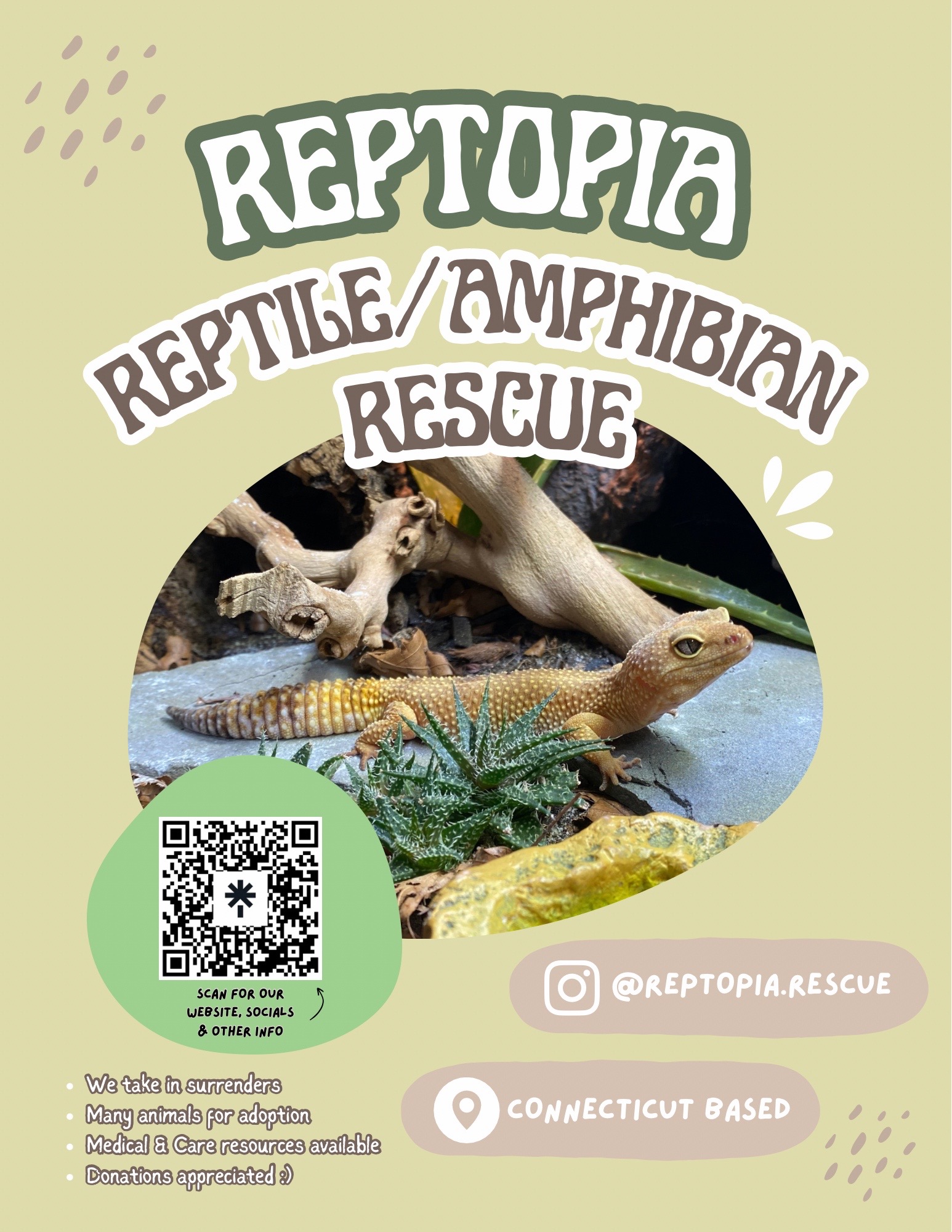 @layla🦎🍃
