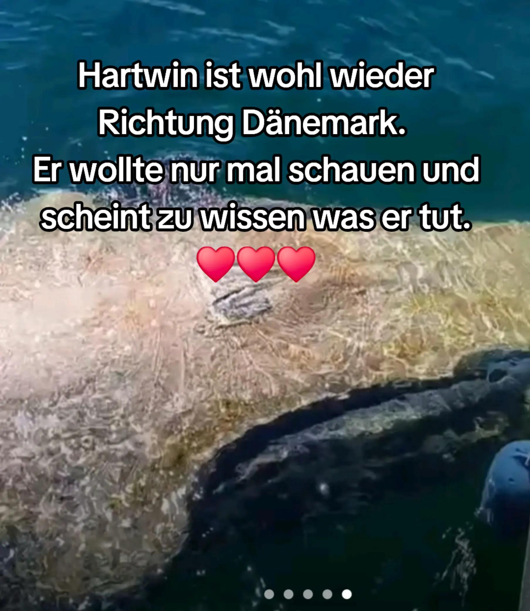 @🐳📚❤️DreamySusu❤️📚🐳