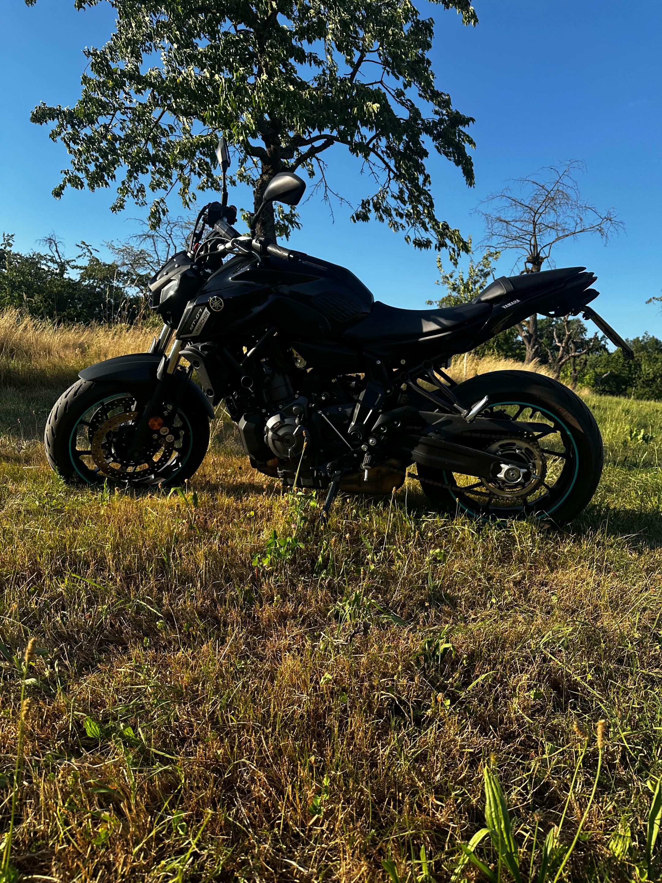 @xfmn.bike