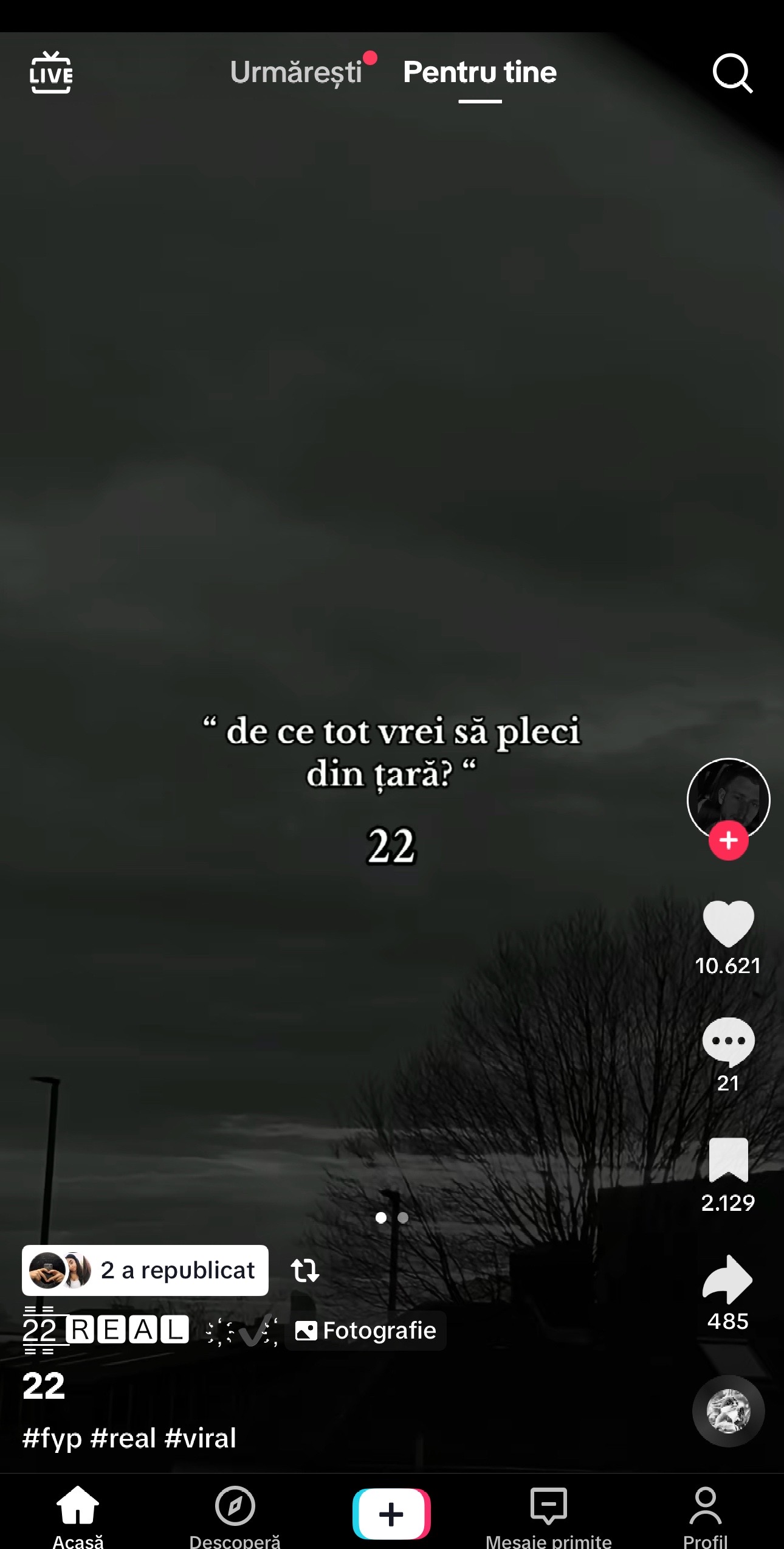 @Ilie Niculita🖤