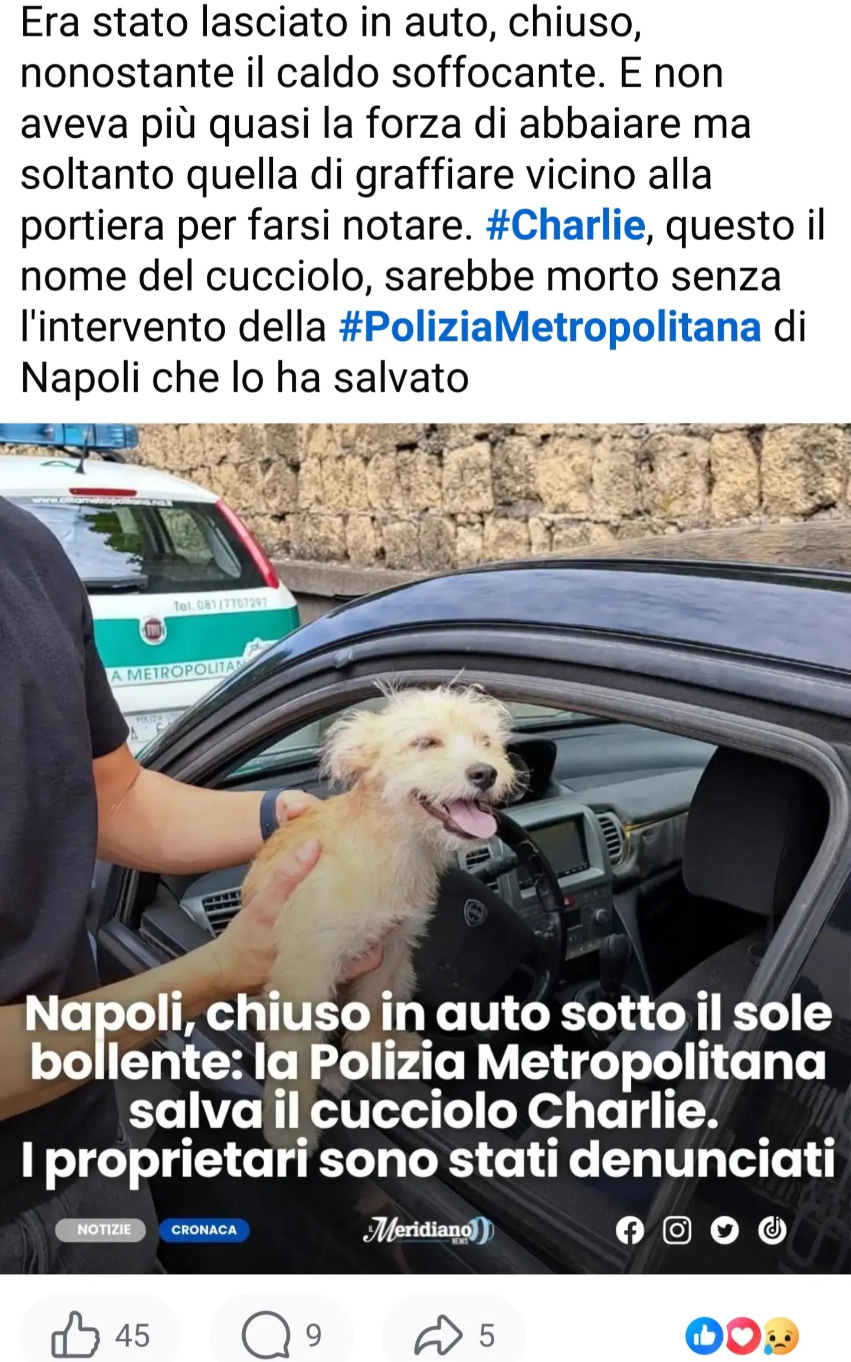 @annastella