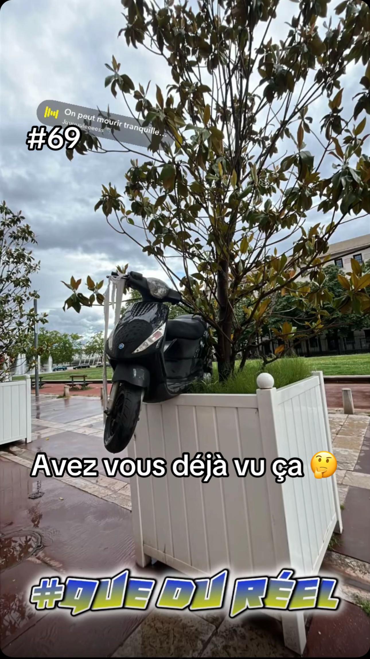 @nedoutepas691