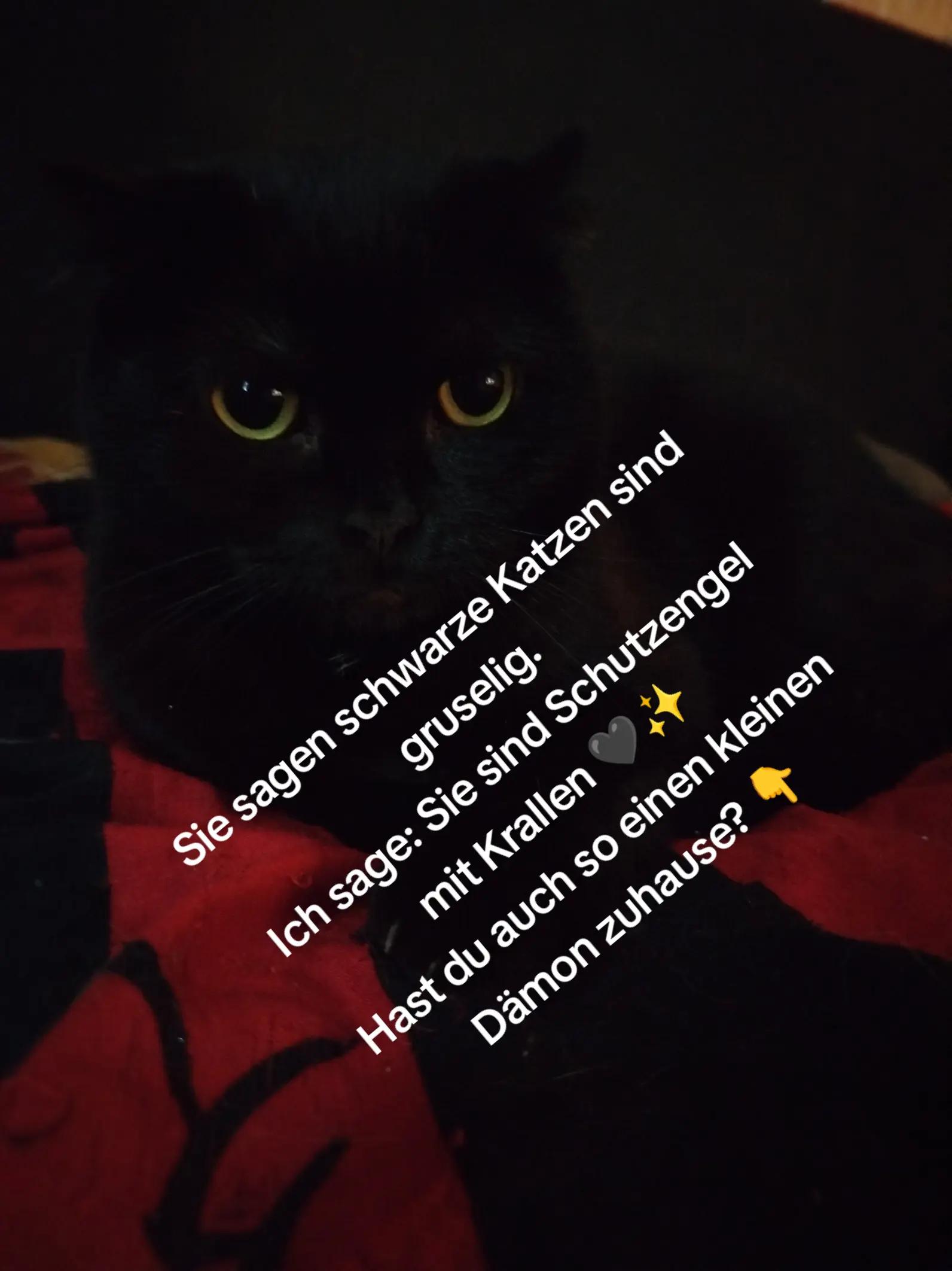 @KaR!zMa❤️🫶❤️🤭