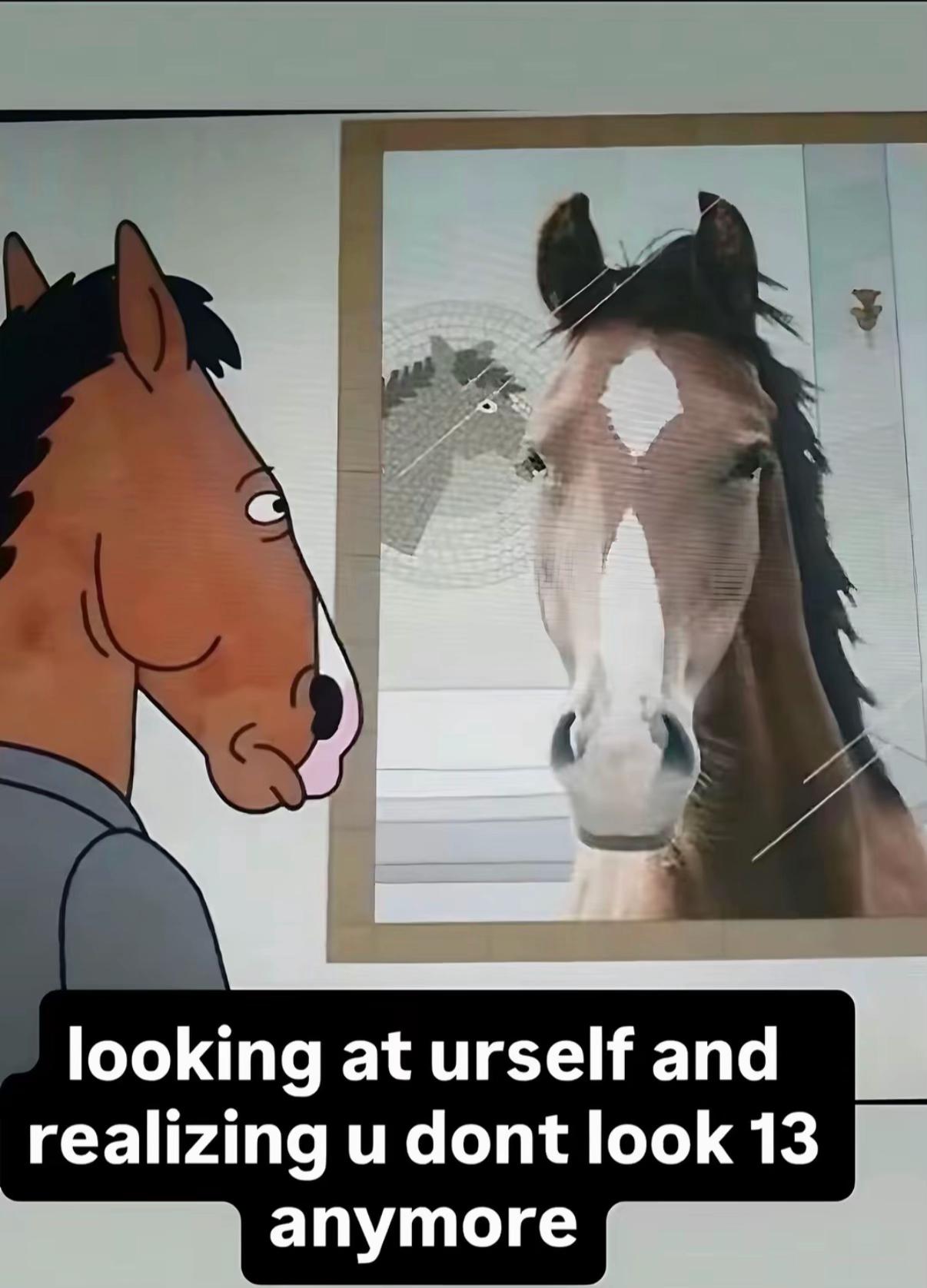 @sasha