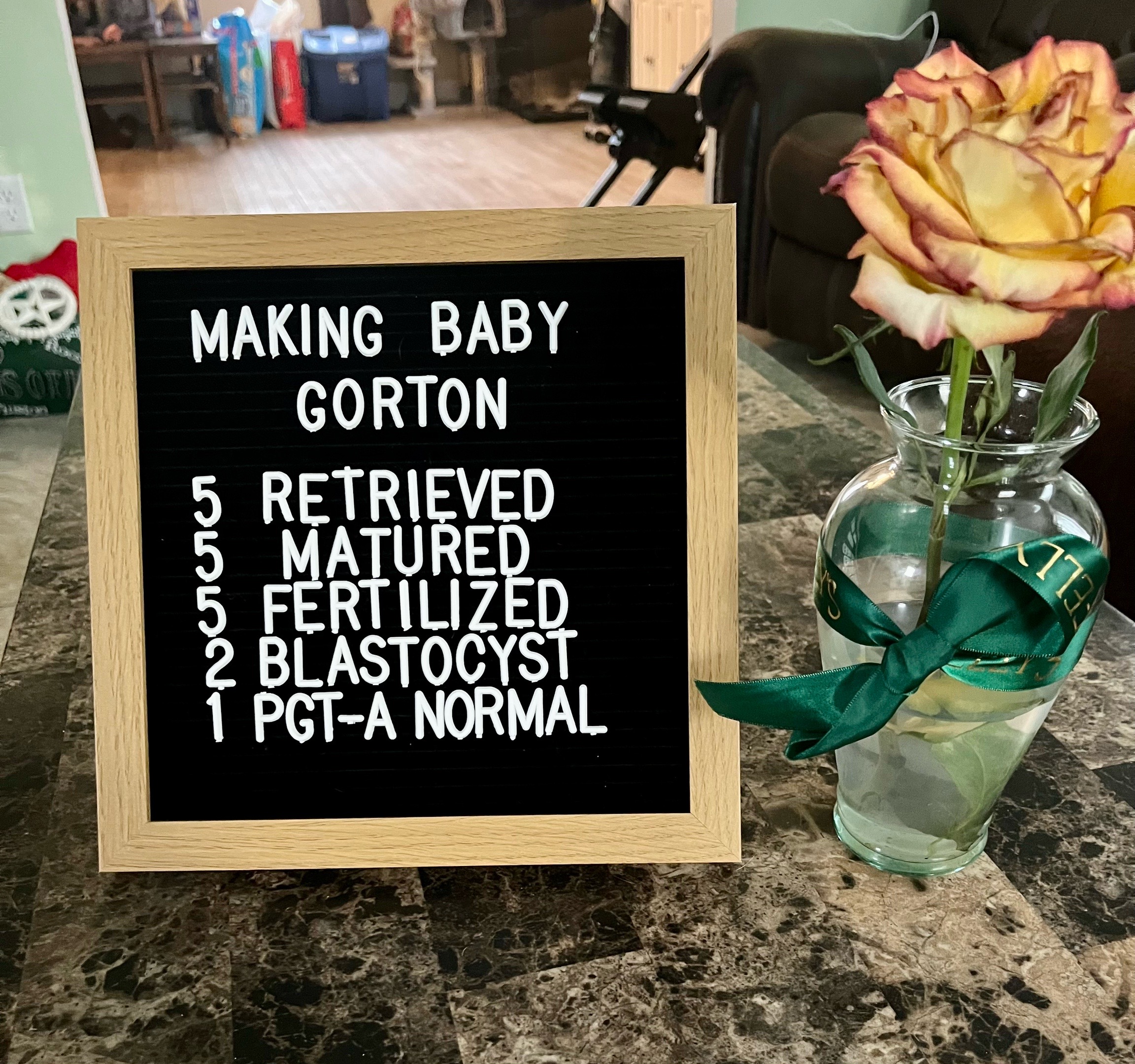 @Ashley Gorton | IVF Journey