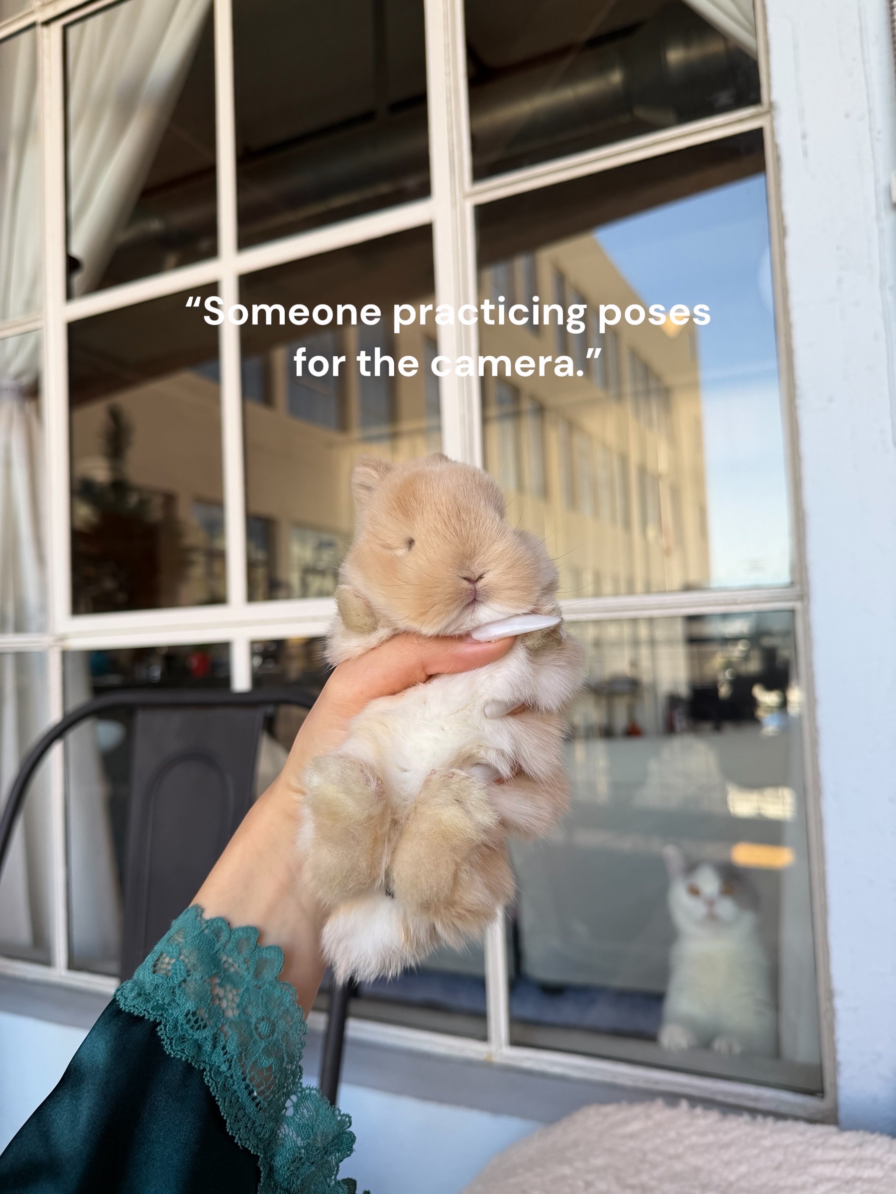 @Bunnydayoff