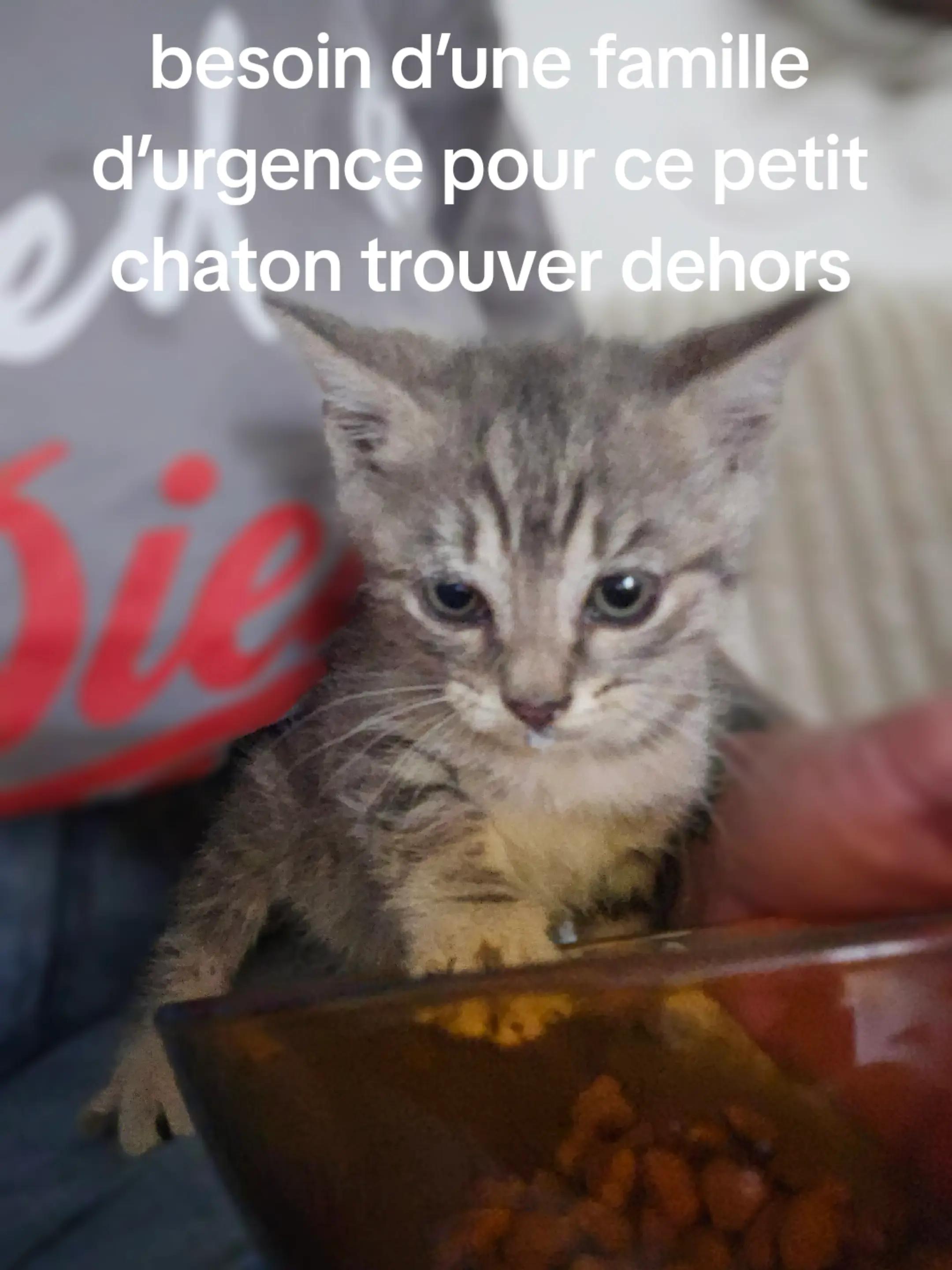 @Le parad&rsquo;iz de jul&rsquo;iz