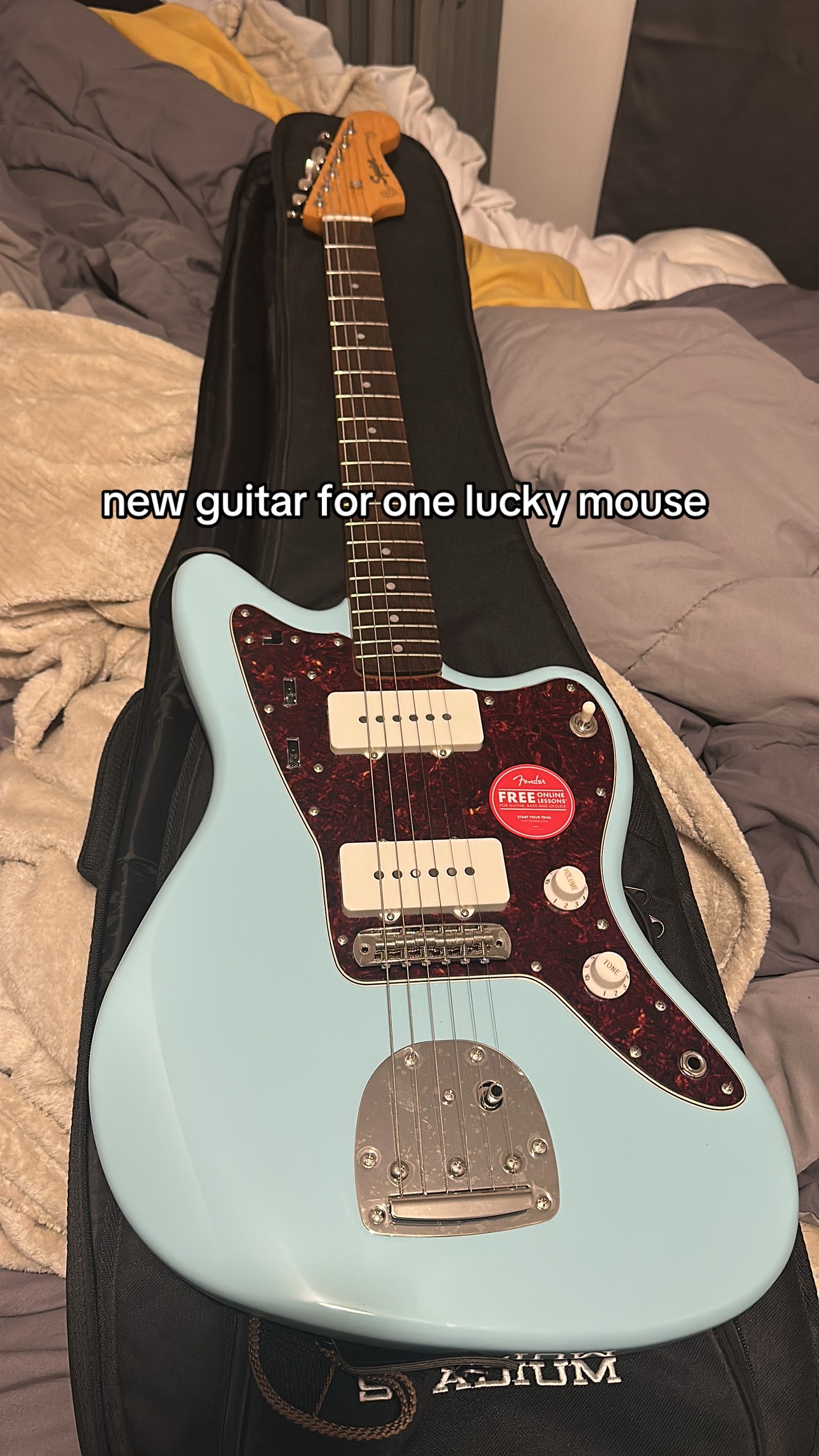 @mouse