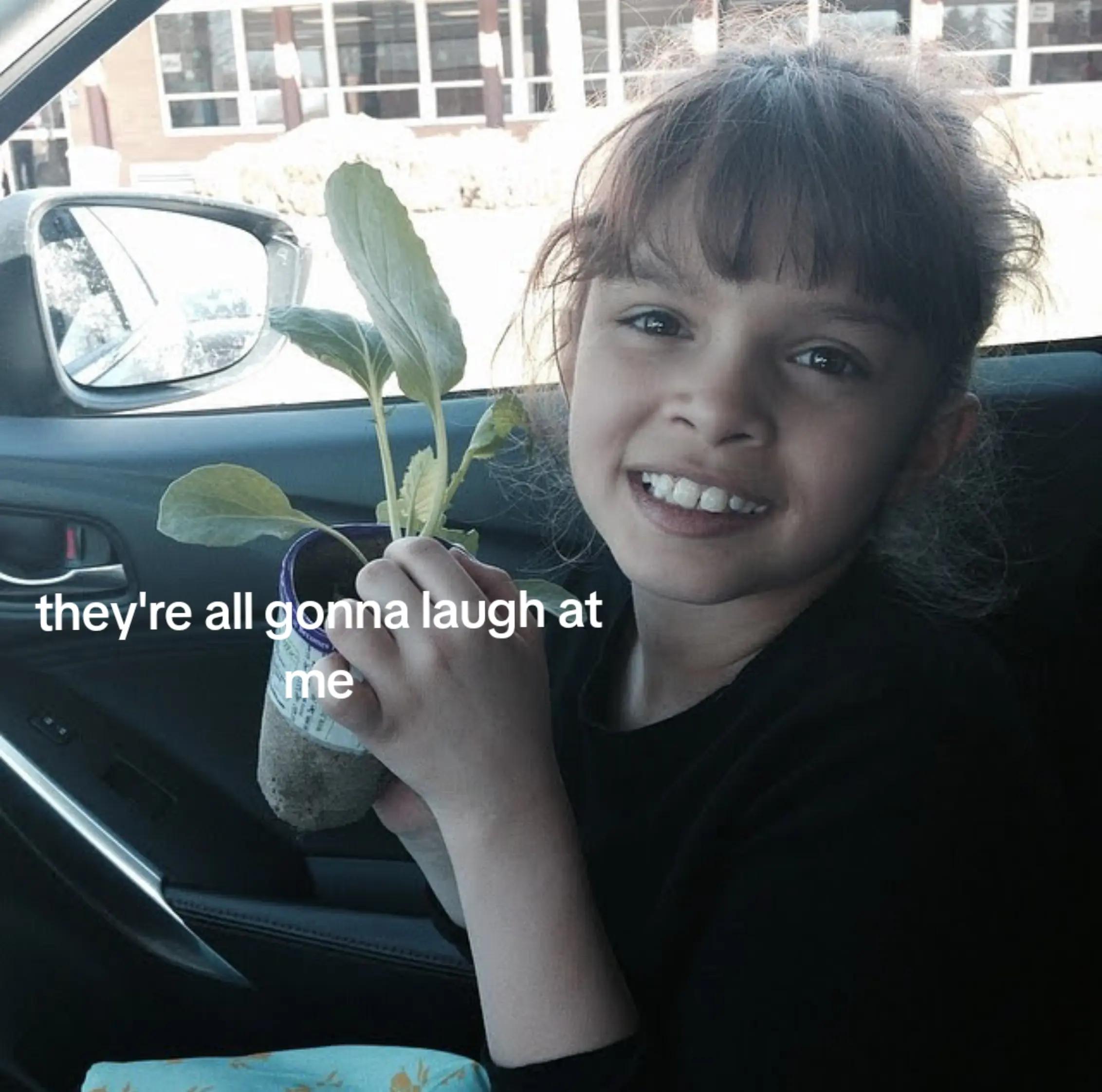 @bobo