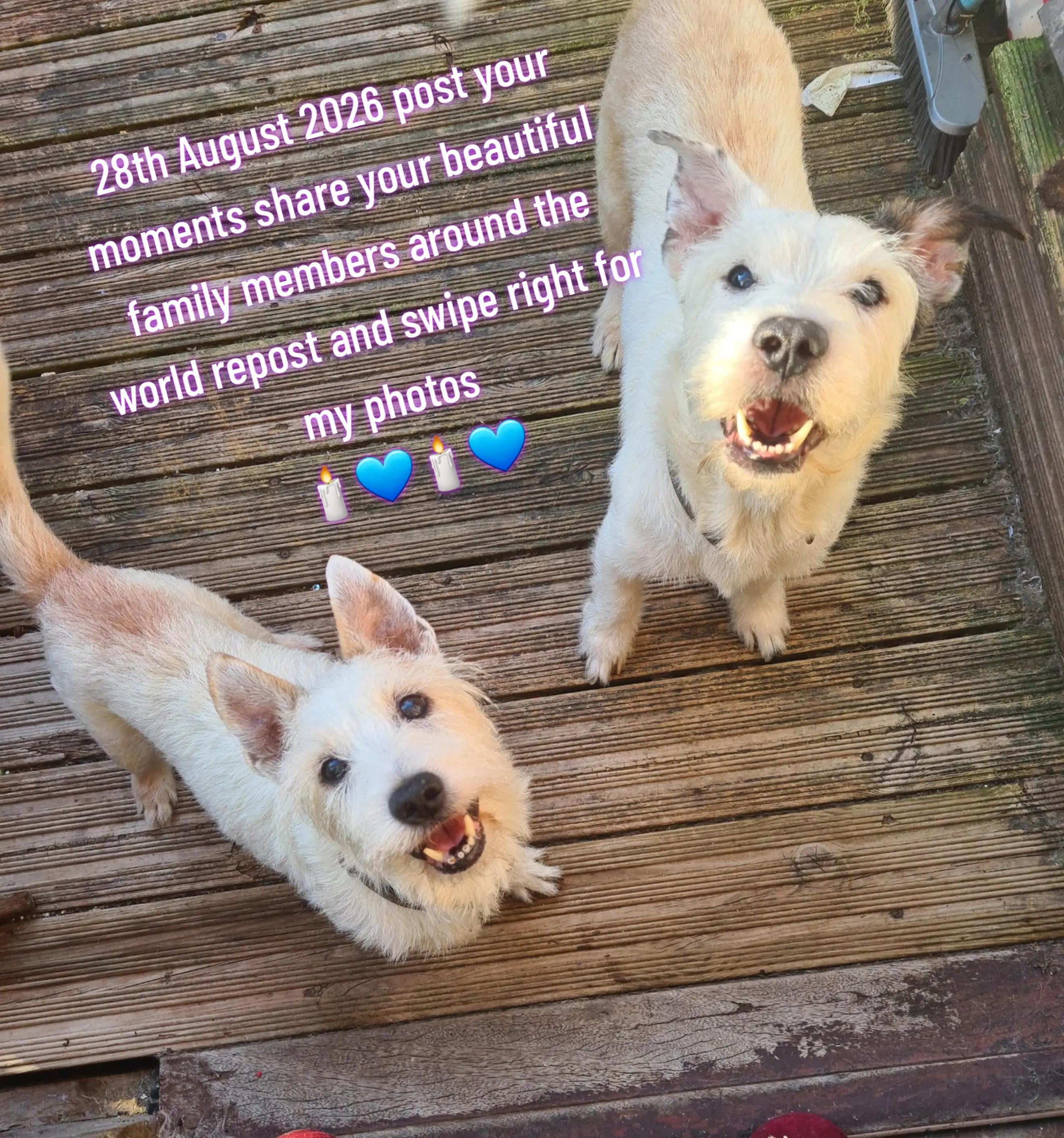 @claire🌈BellaBertErnie💙T&D