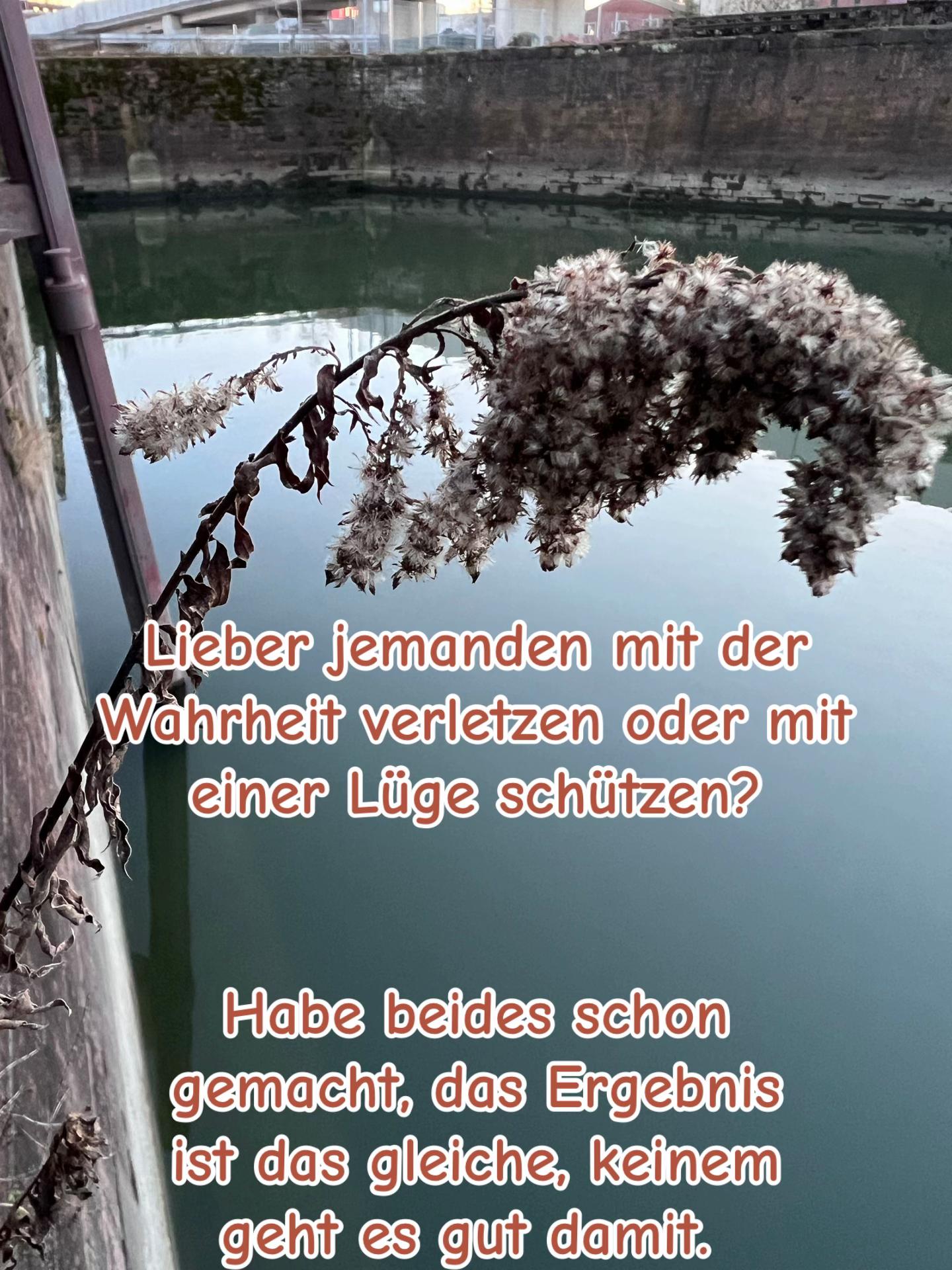 @Birkenwald74
