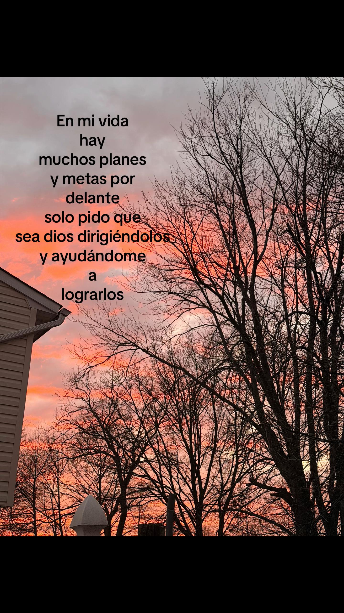 @Evelyn🦋