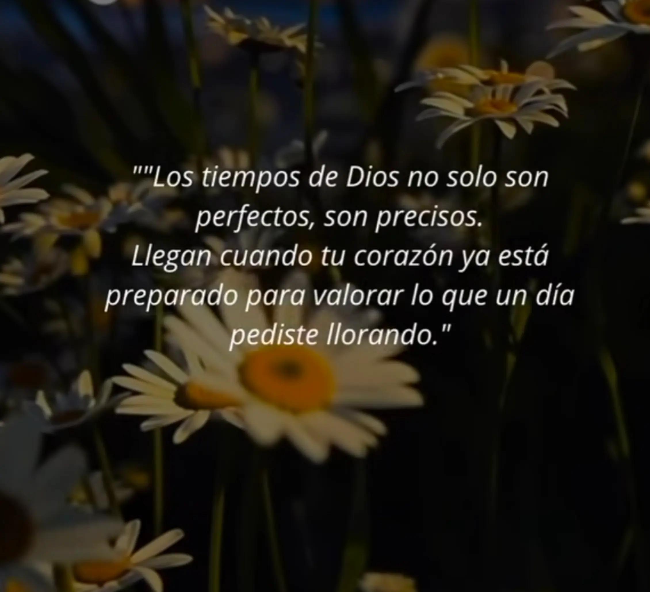@Nereida Feliciano