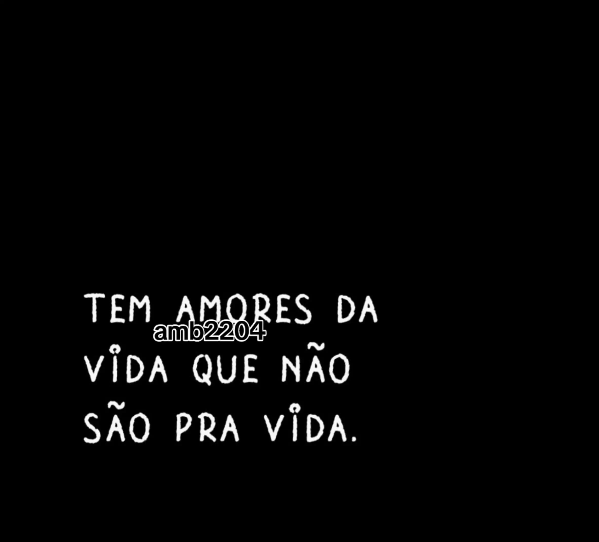 @amb2204