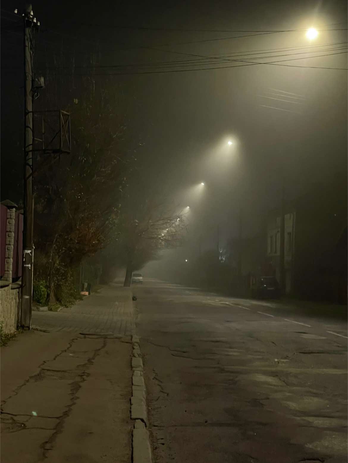 @intald