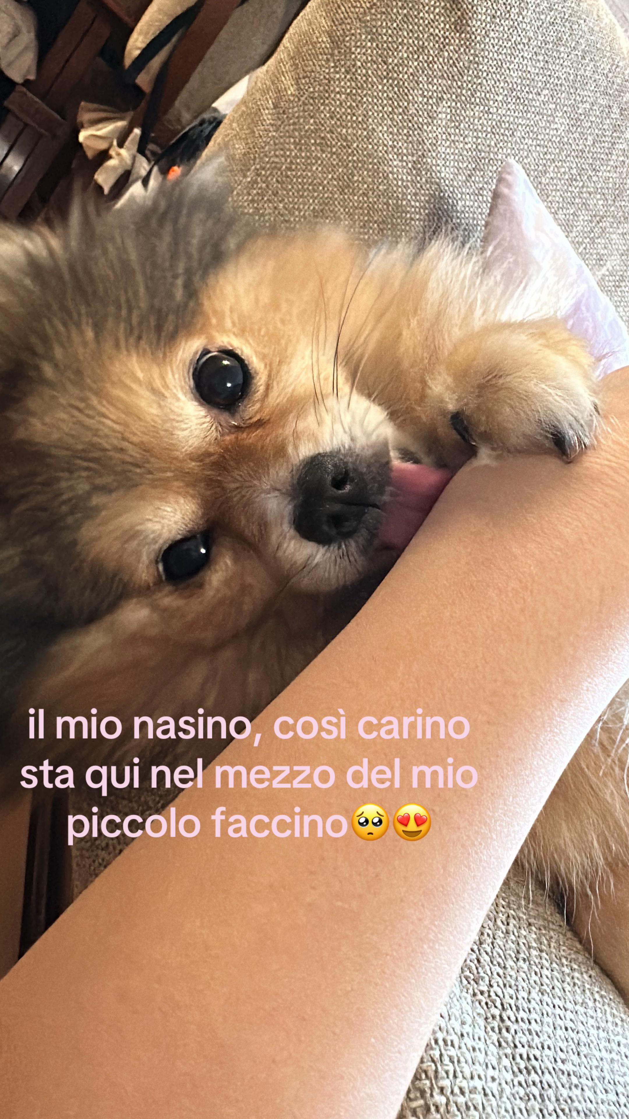 @_๐๐ฆ๐ข๐ฅ๐ข๐_โฐ