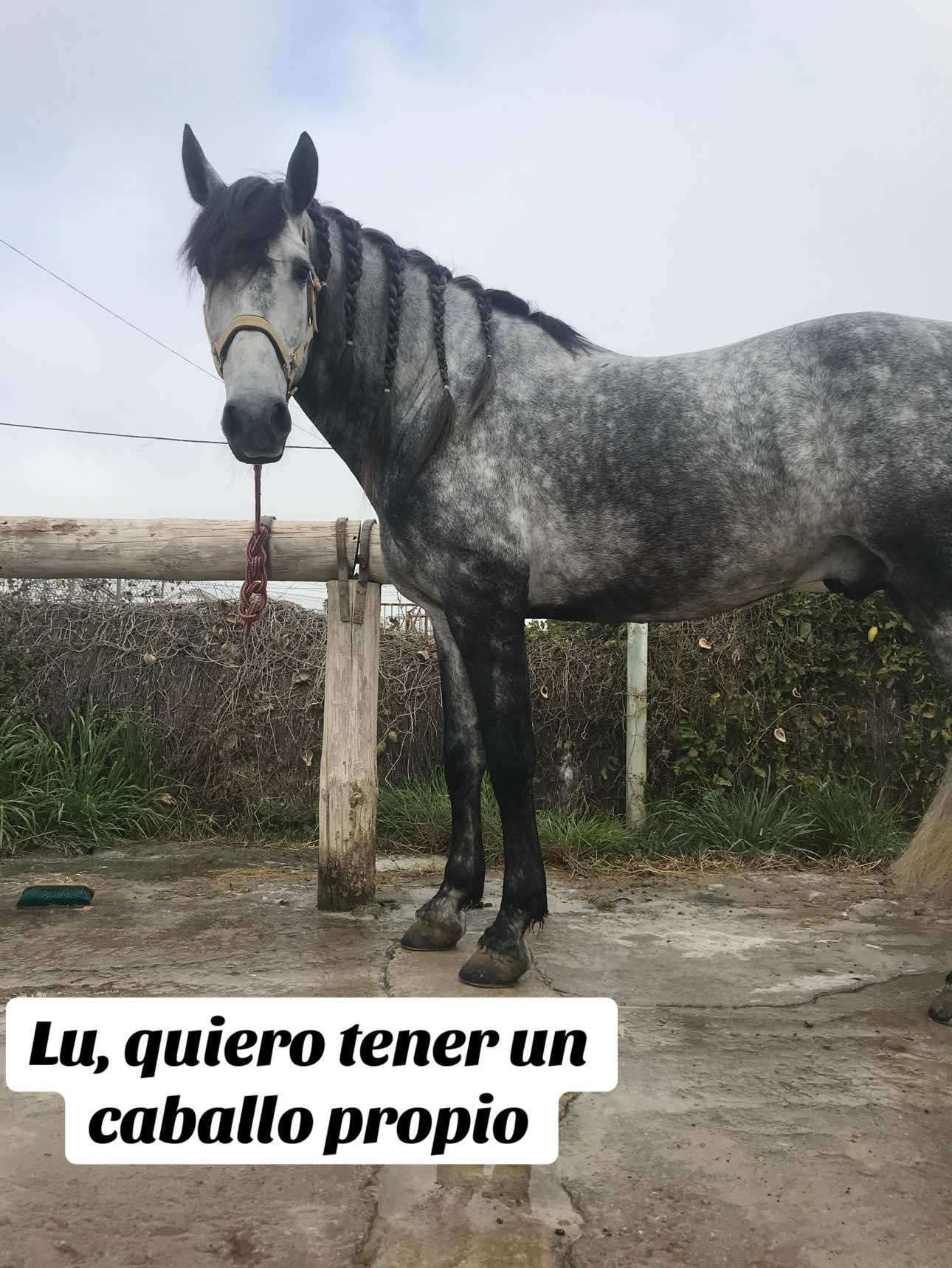 @Maria Prestamero Lor
