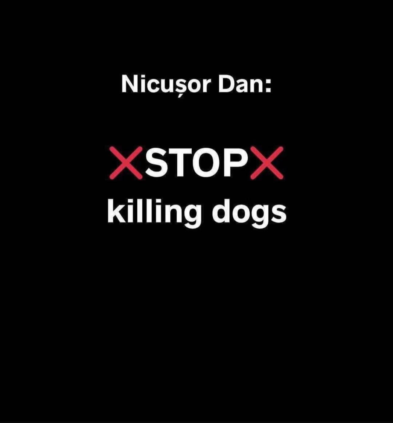 @Hundeherzkommando 🐾