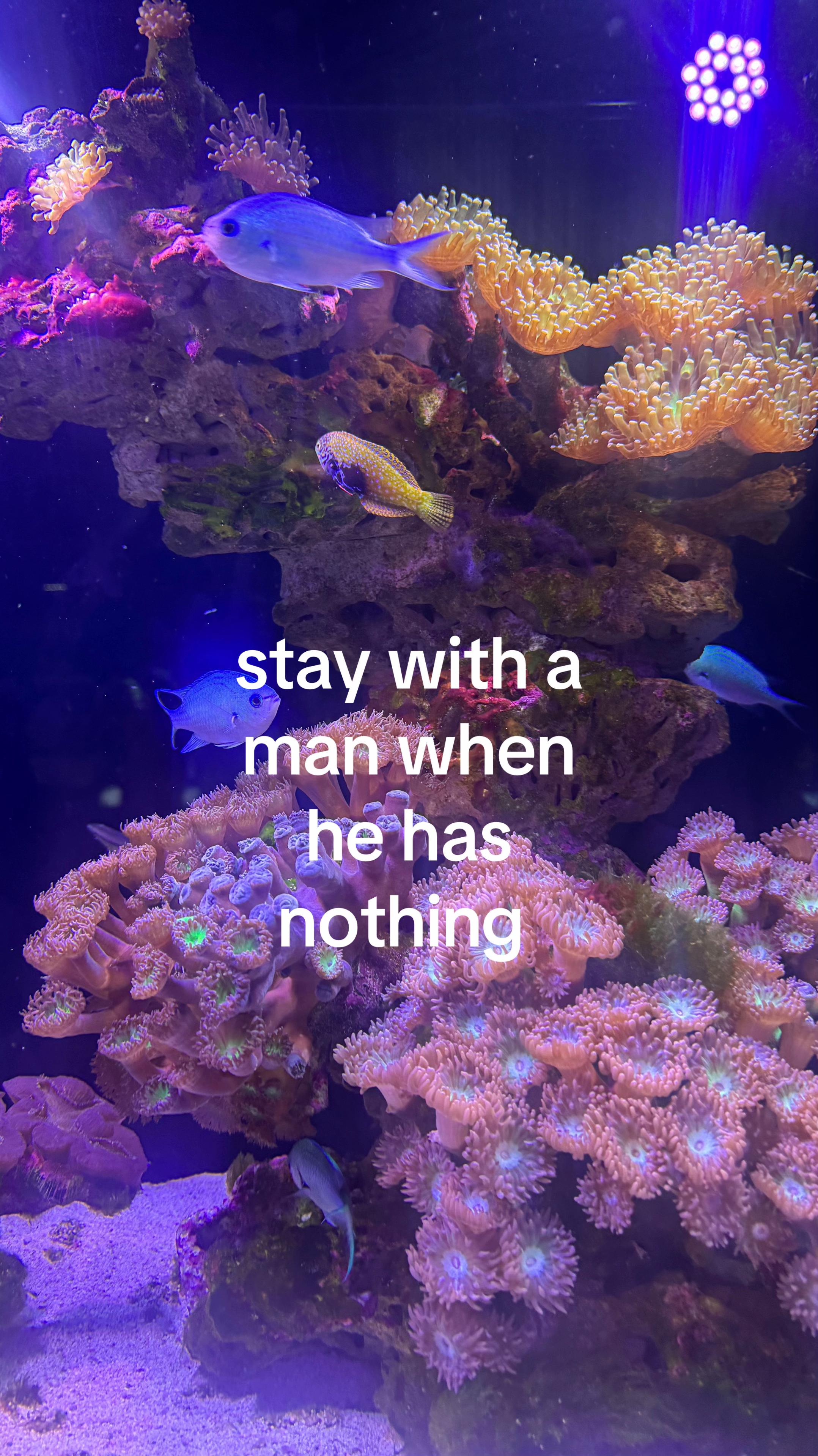 @6382638282