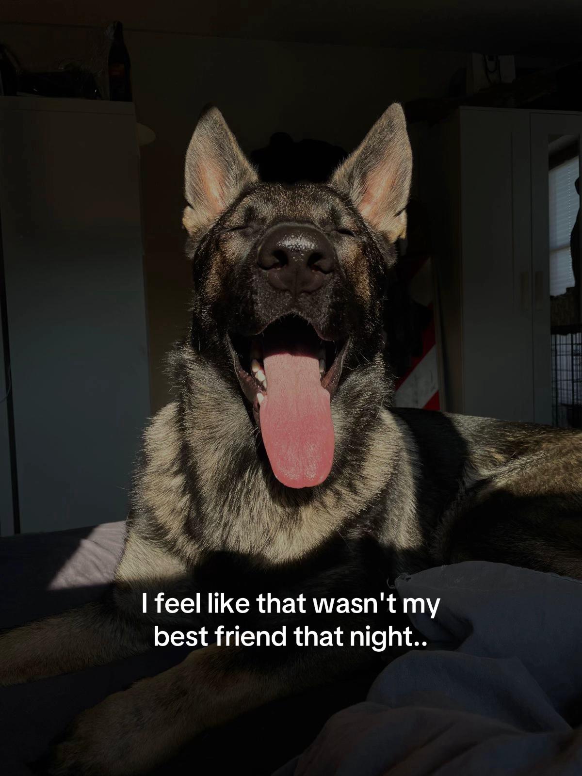 @lilli