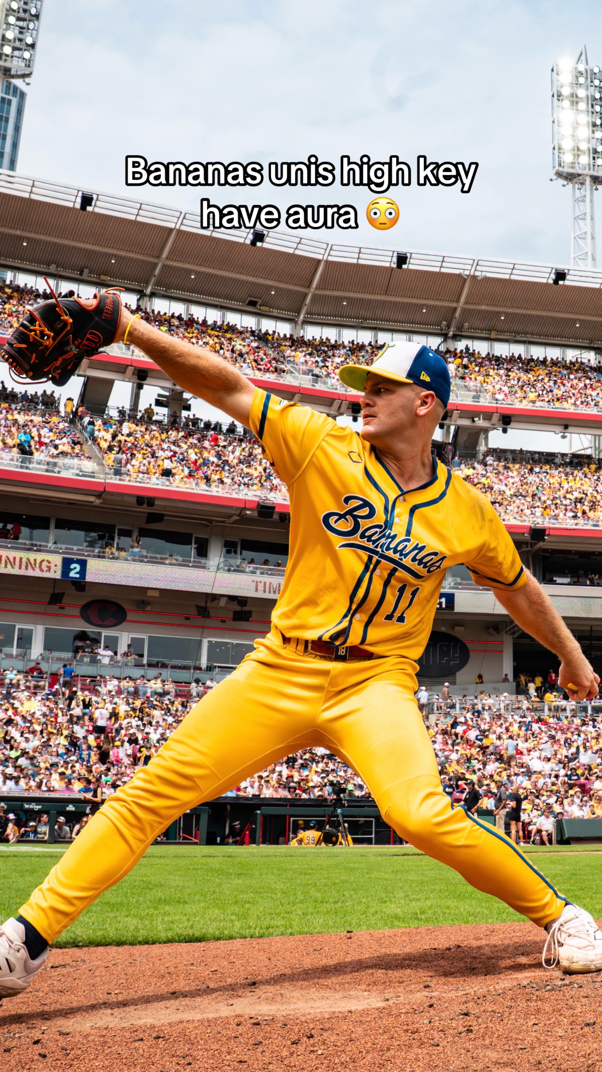 @evoshield