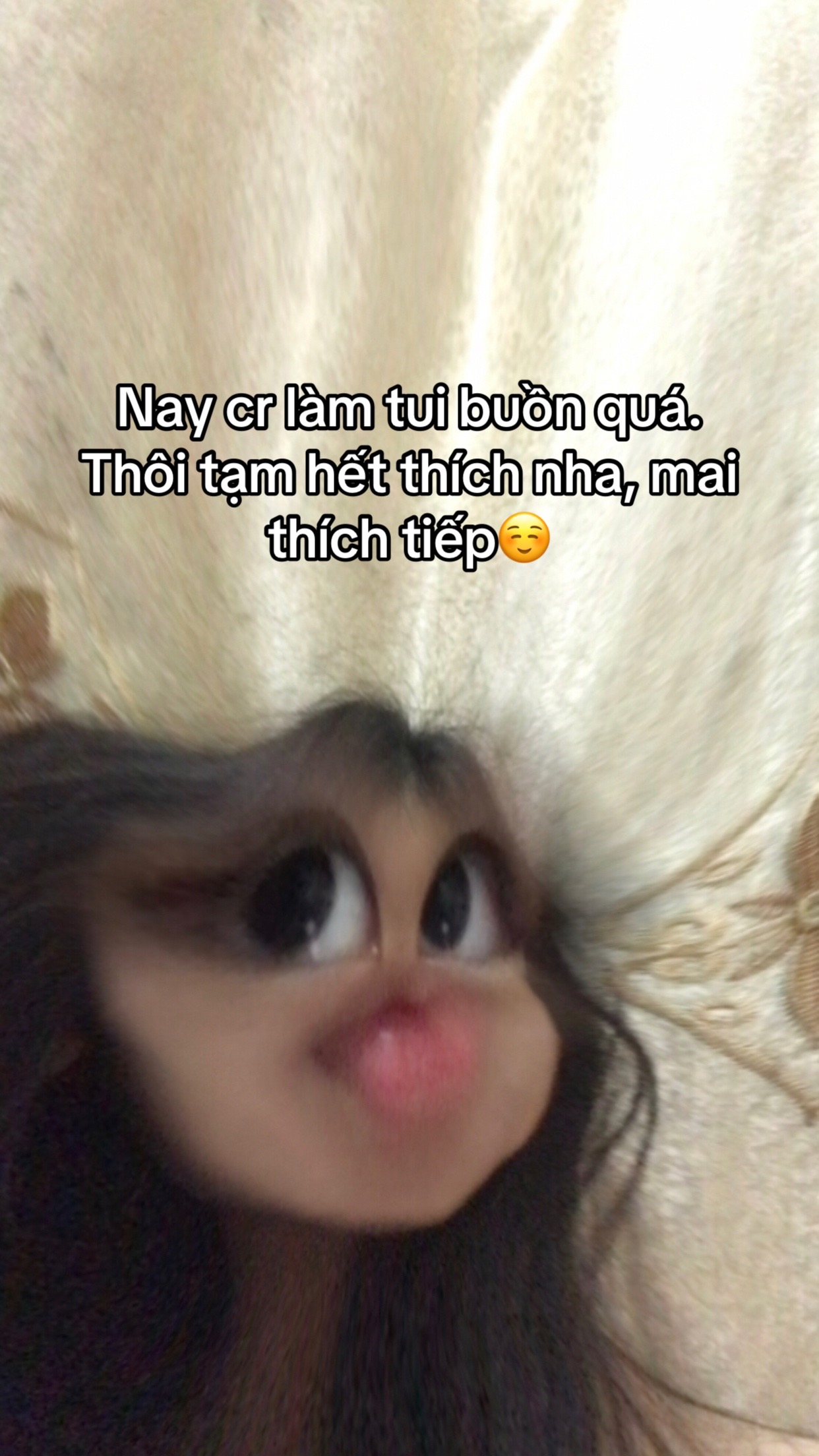 @bố mày hận văn👌